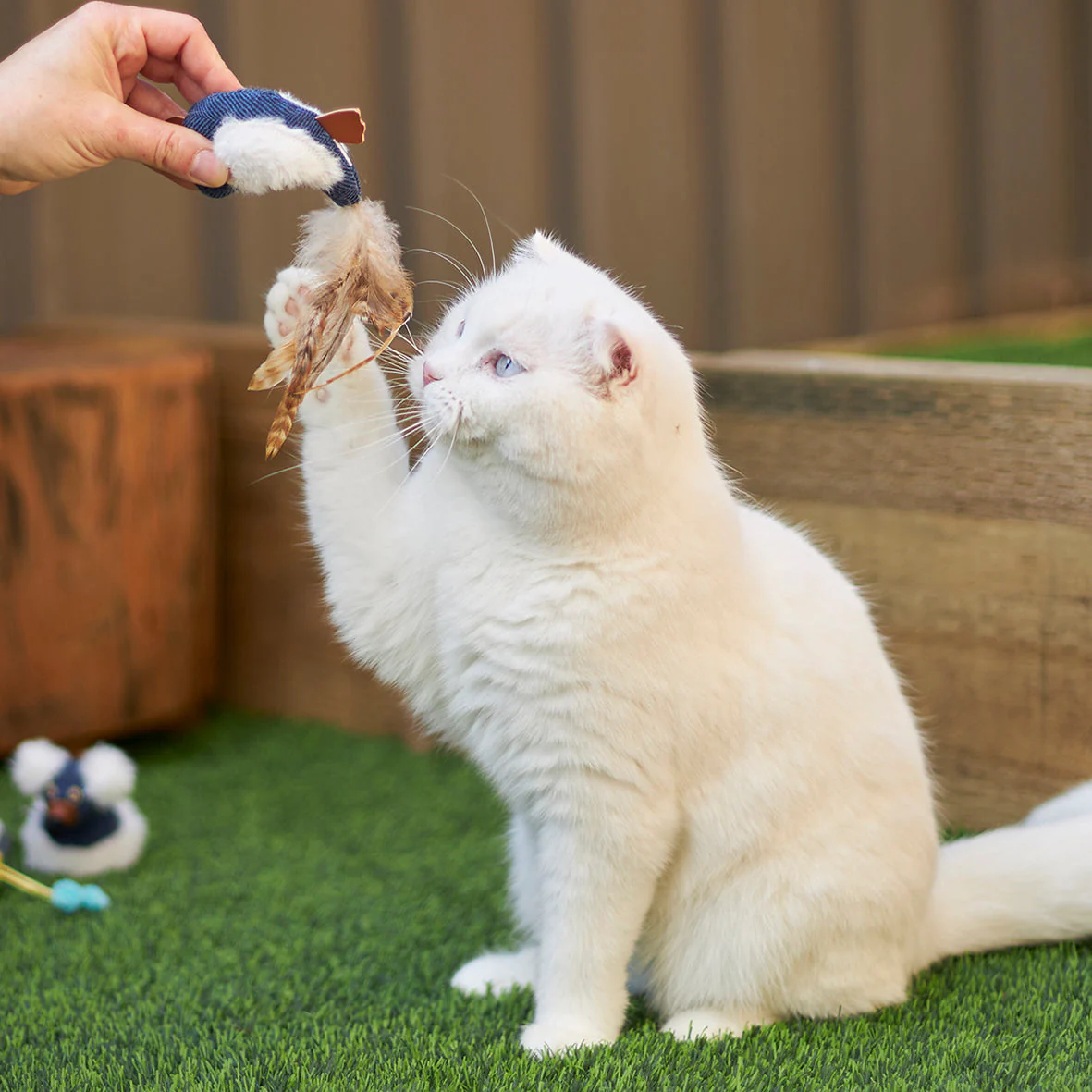 Kazoo Chirpy Bird Cat Toy - Image 5