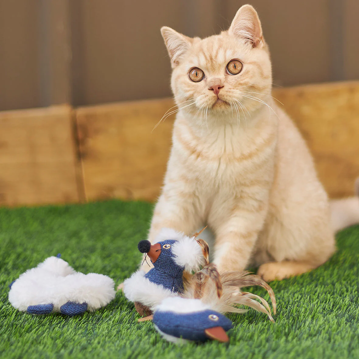 Kazoo Chirpy Bird Cat Toy - Image 6