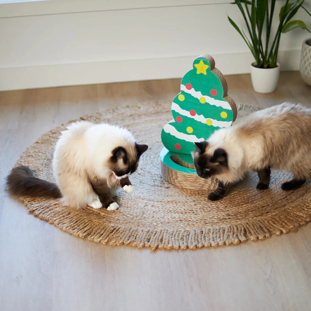 Kazoo Christmas Tree Cardboard Cat Scratcher *** - Image 3