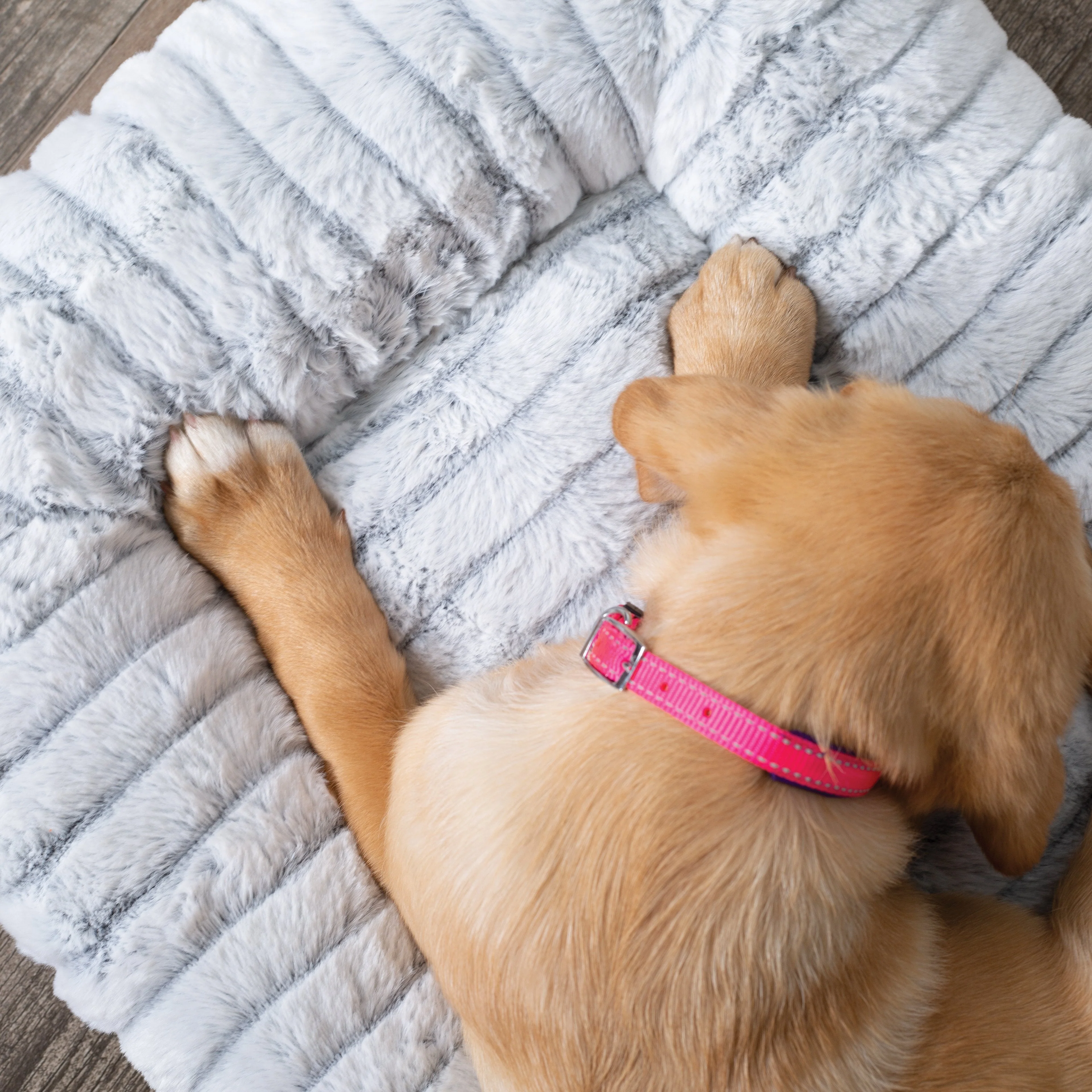 Kazoo Cloud Comfort Medium Grey Dog Bed - Image 5