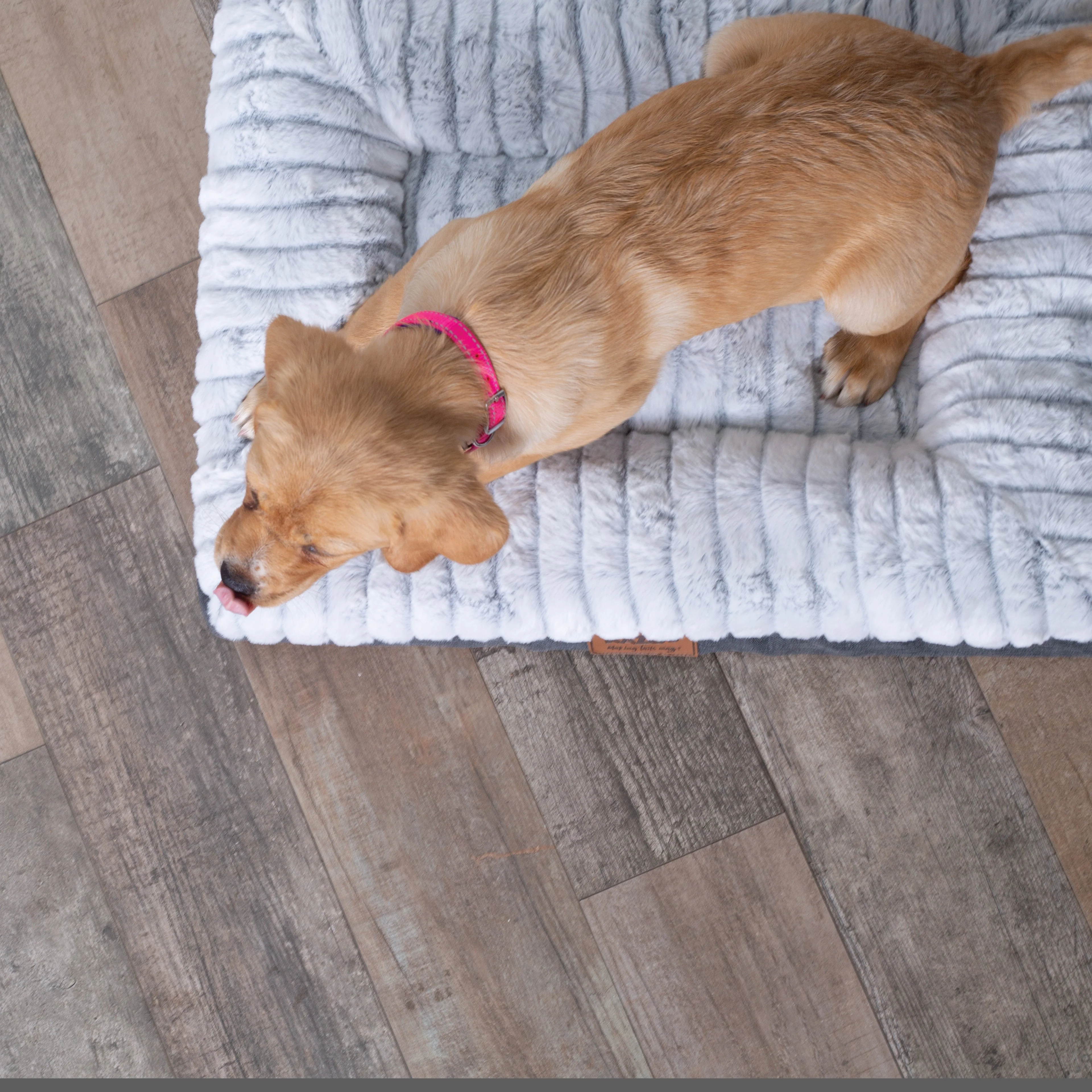 Kazoo Cloud Comfort Small Grey Dog Bed - Image 3