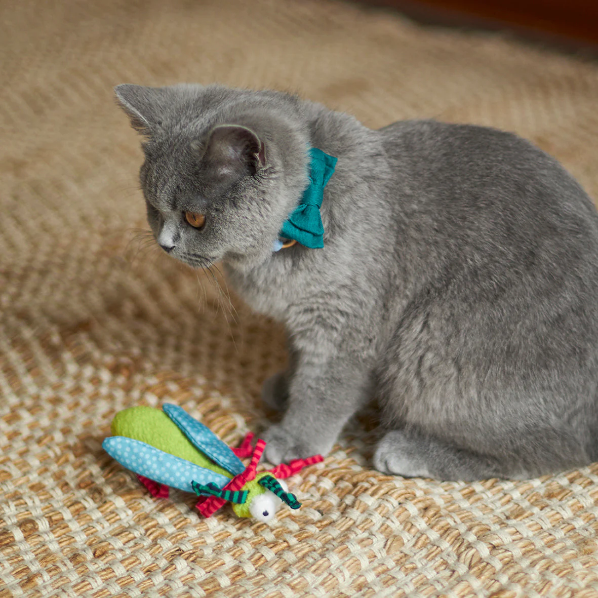Kazoo Crinkle Bug Cat Toy - Image 4