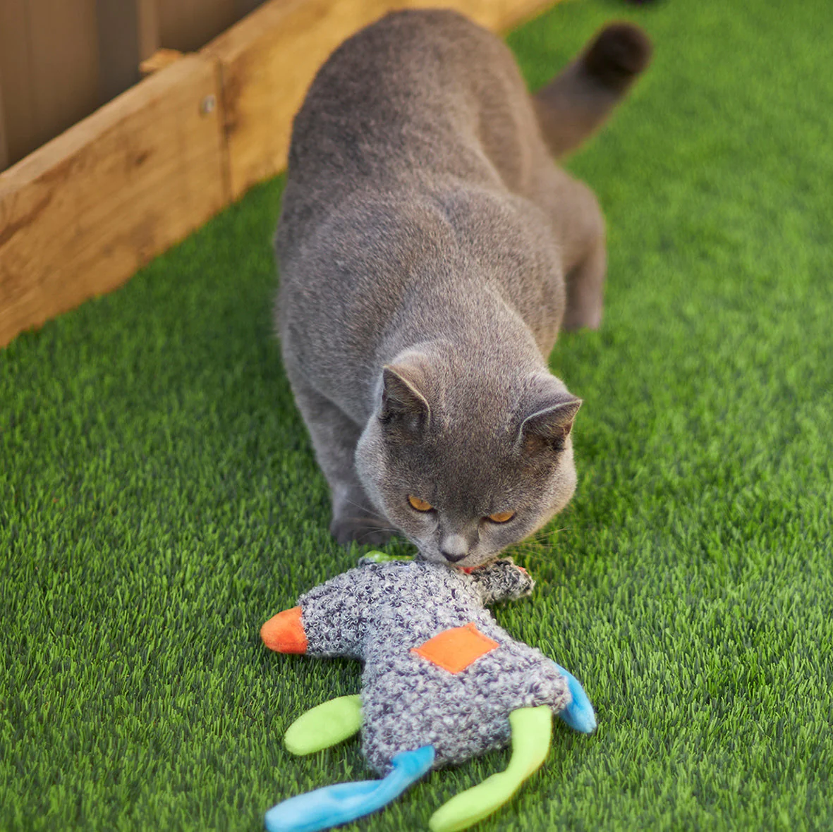 Kazoo Crinkle Mouse Cat Toy - Image 4
