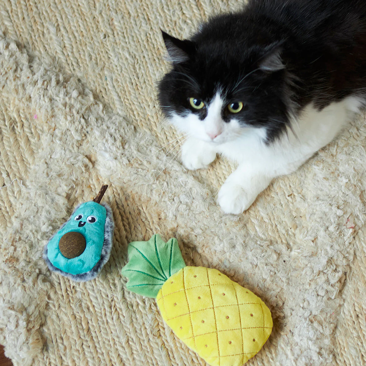 Kazoo Crinkly Pineapple Cat Toy - Image 2