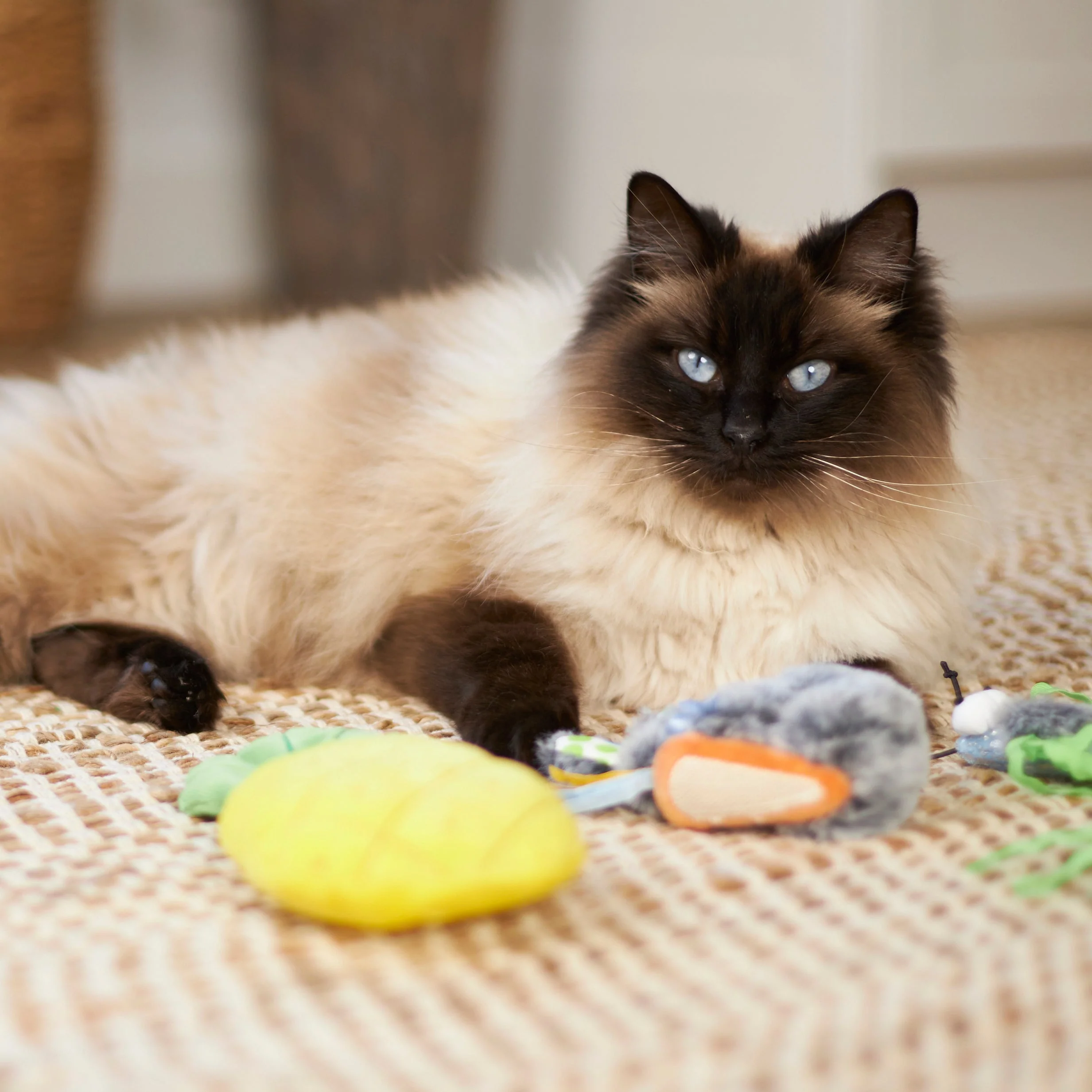 Kazoo Crinkly Pineapple Cat Toy - Image 3