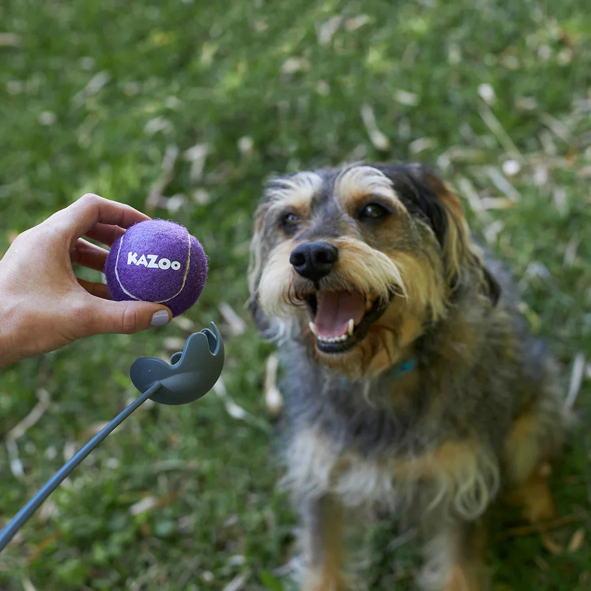 Kazoo Eco Friendly Ball Thrower Dog Toy Small - Image 4