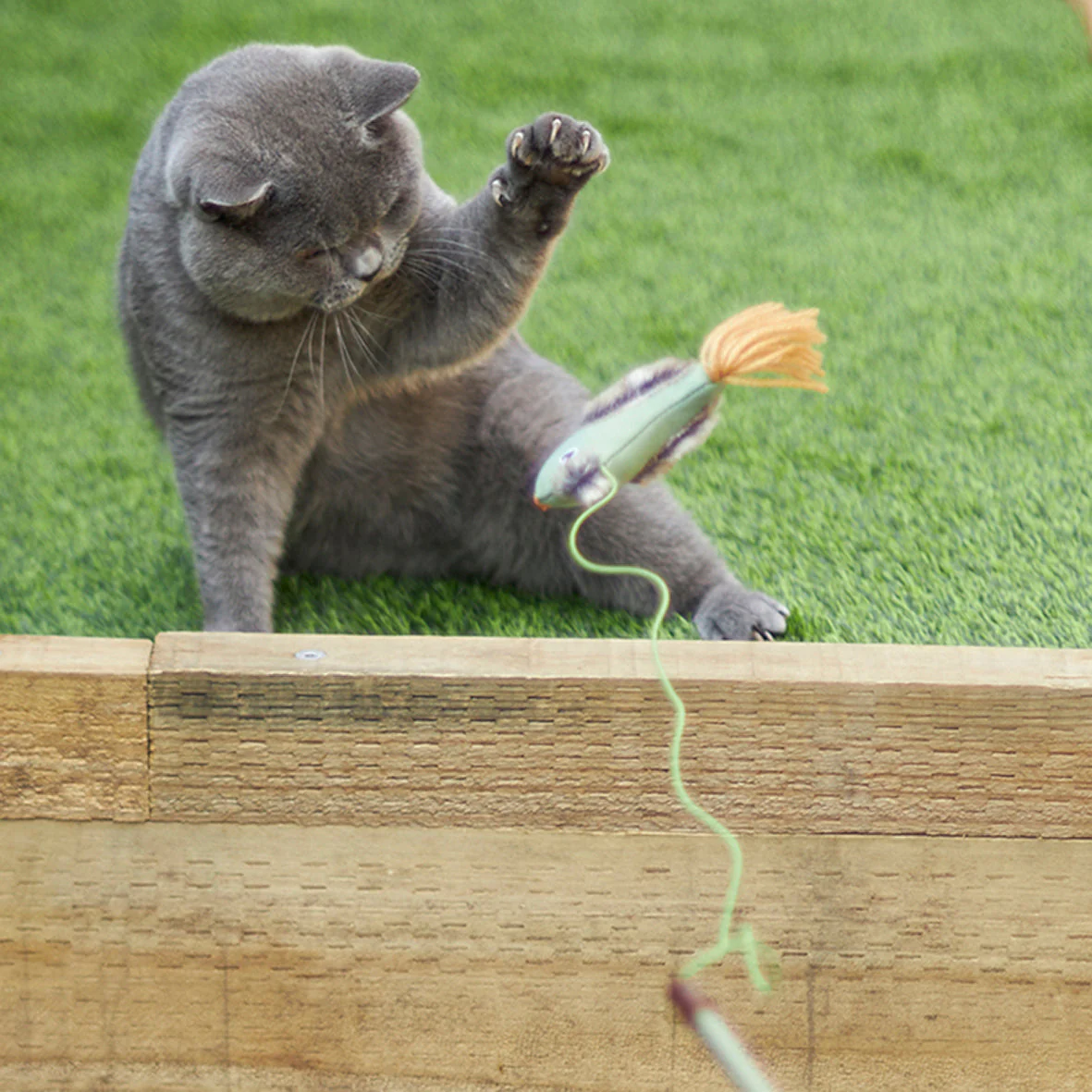 Kazoo Fantail Bird Eco-Friendly Wand Cat Toy - Image 3