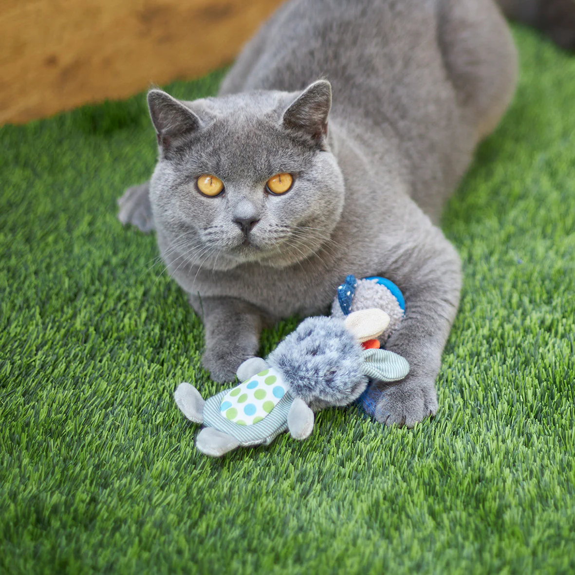 Kazoo Grumpy Rabbit Cat Toy - Image 3