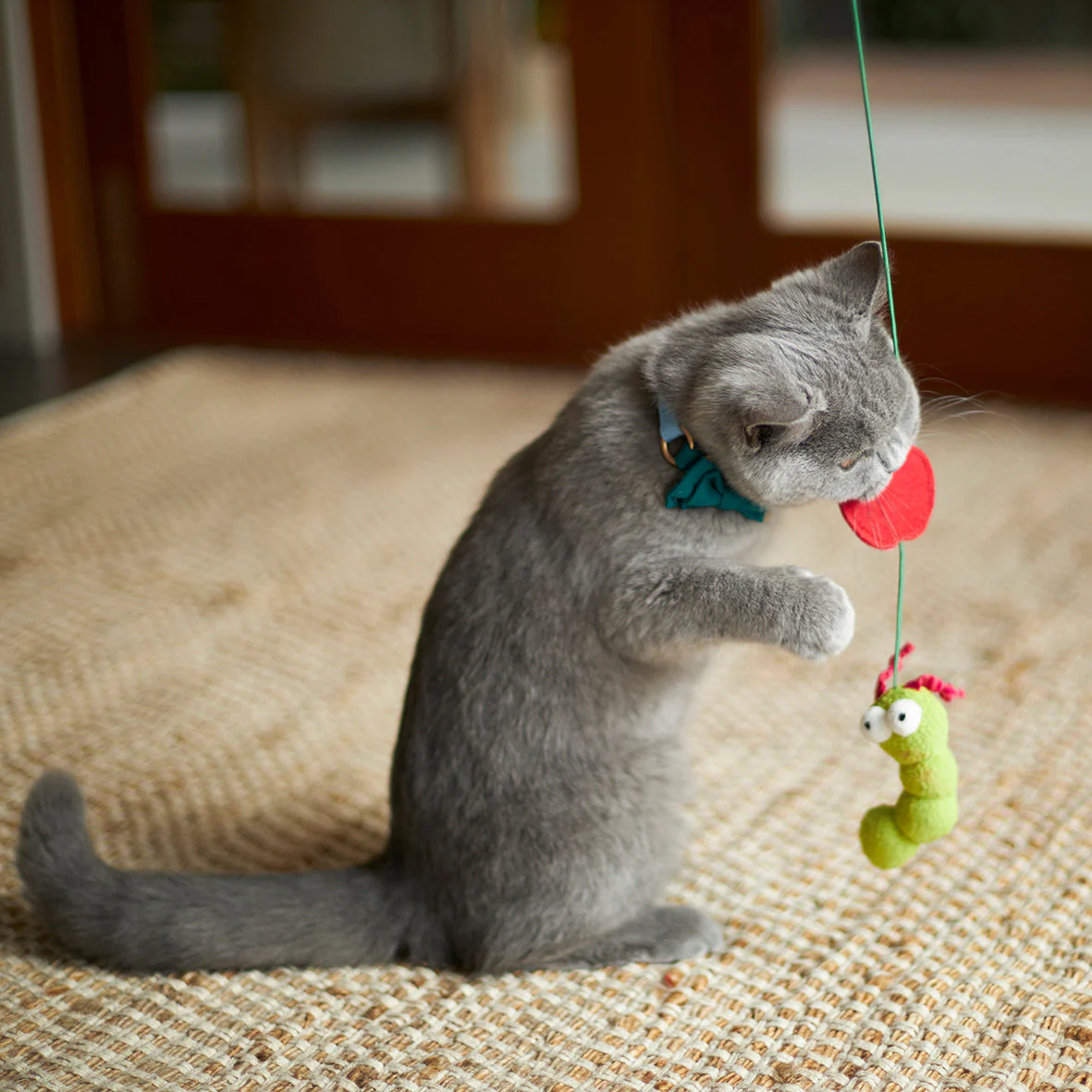 Kazoo Munchy Caterpillar Wand Cat Toy - Image 4