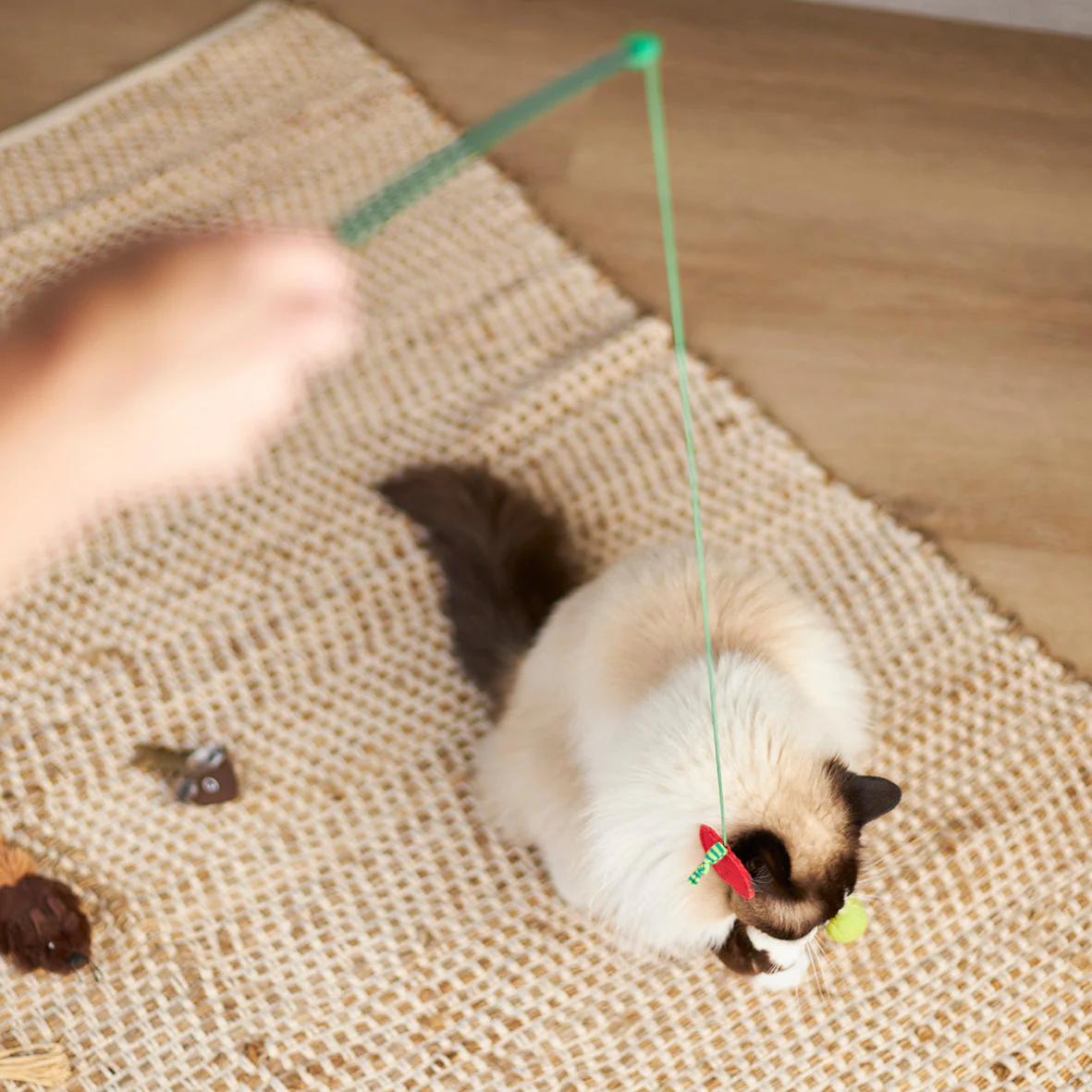 Kazoo Munchy Caterpillar Wand Cat Toy - Image 6