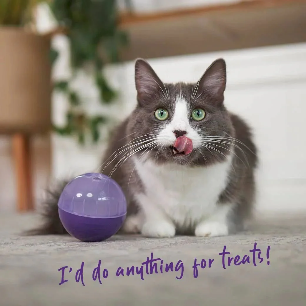 Kazoo Interactive Treat Dispensing Ball Cat Toy - Image 3