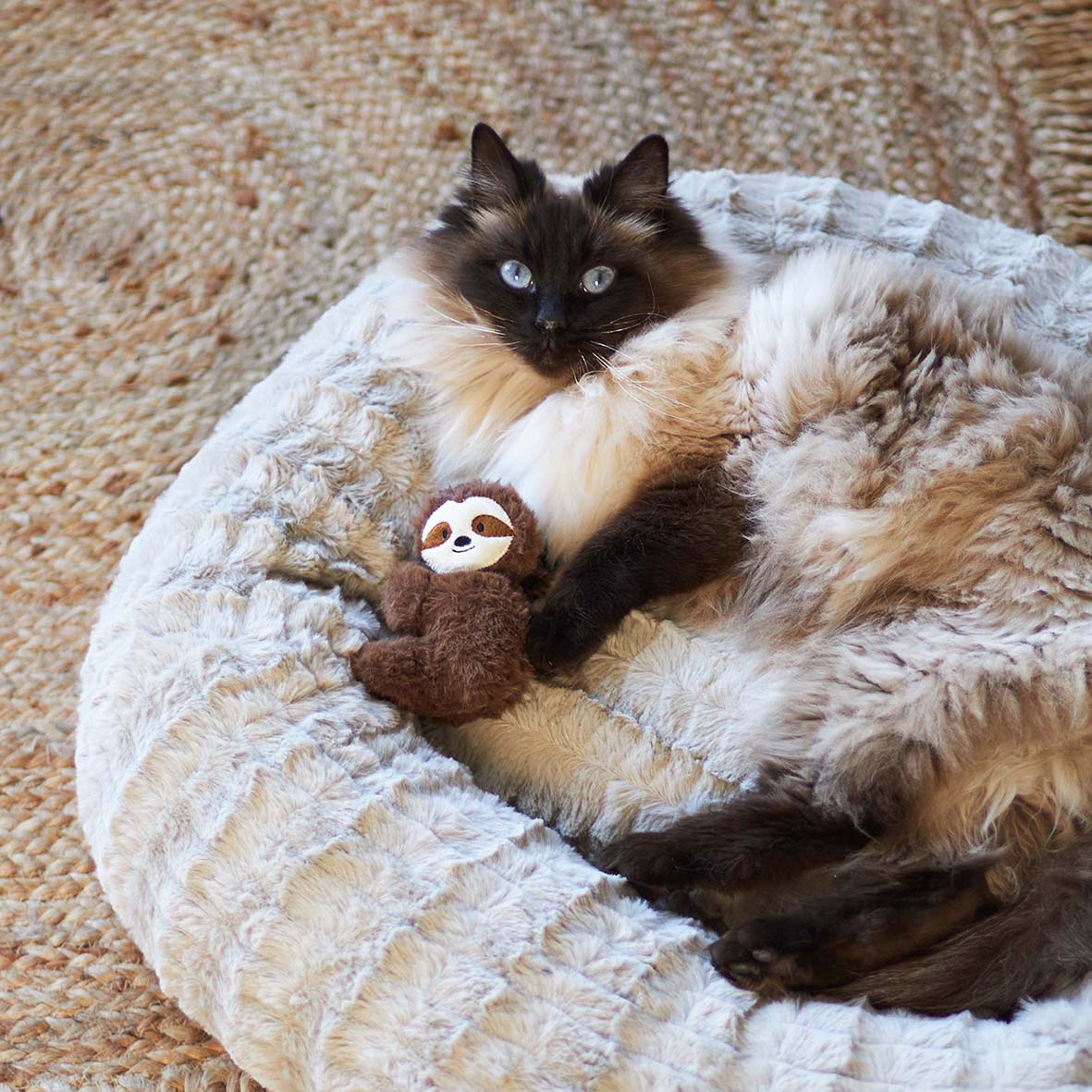 Kazoo Jungle Sloth Cat Toy - Image 5