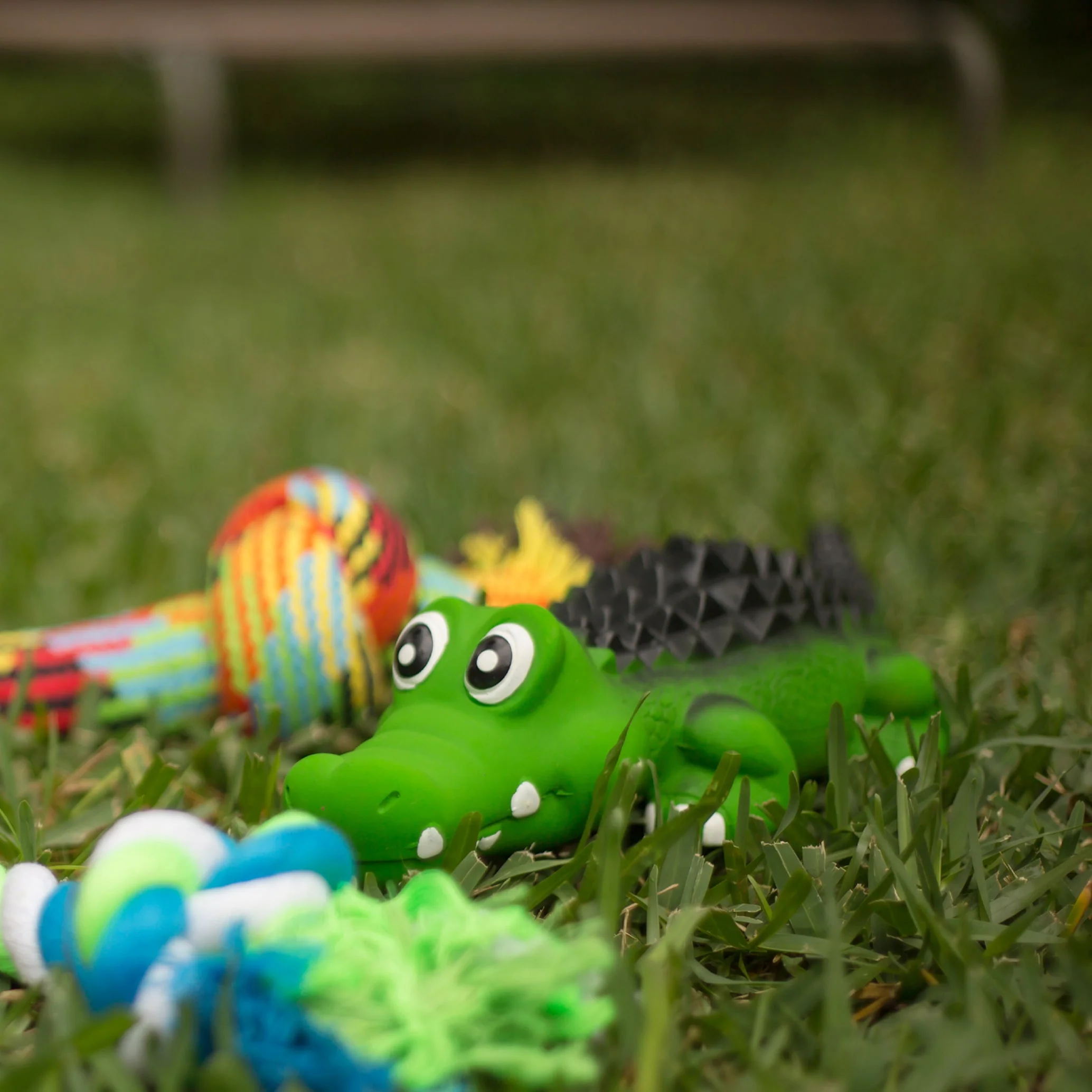 Kazoo Cool Crocodile Medium Dog Toy - Image 4