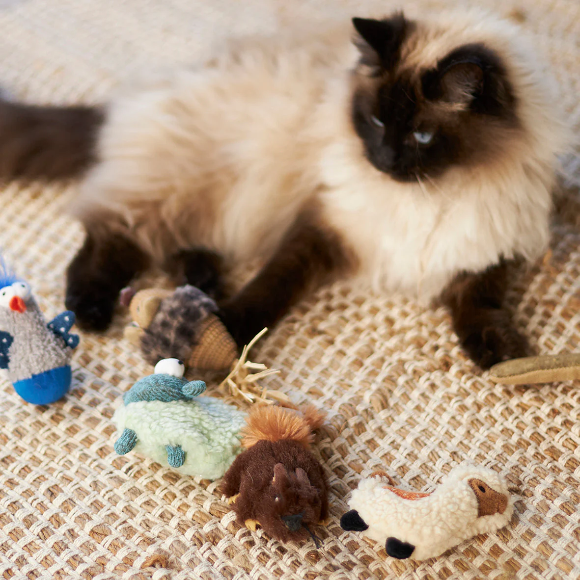 Kazoo Love a Llama Cat Toy - Image 3