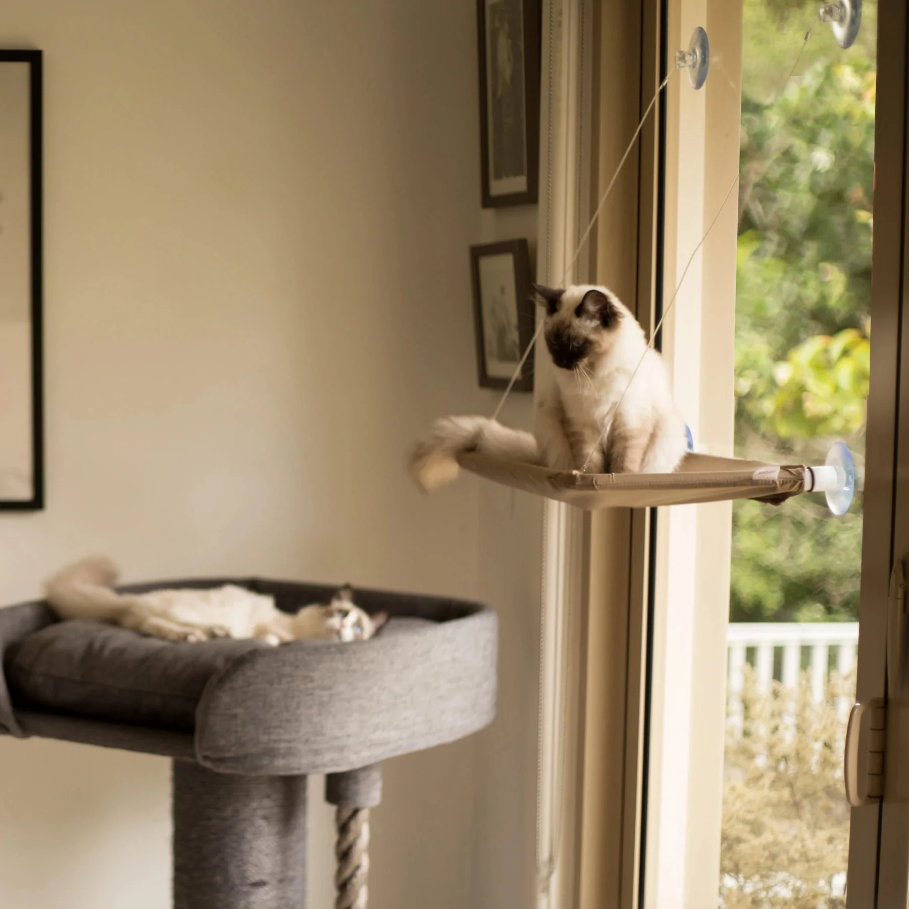 Kazoo Lookout Deluxe Window Cat Bed - Image 3