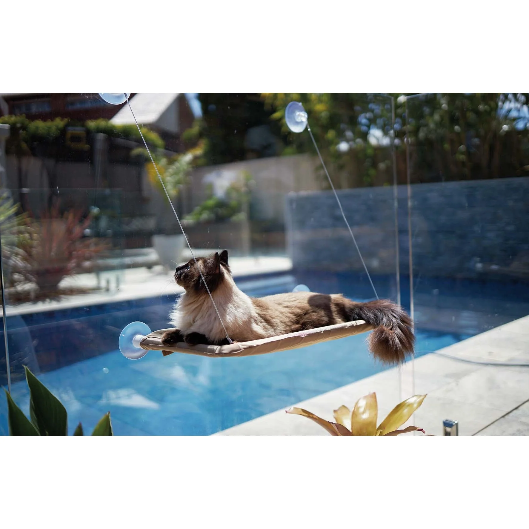 Kazoo Lookout Window Cat Bed - Image 8