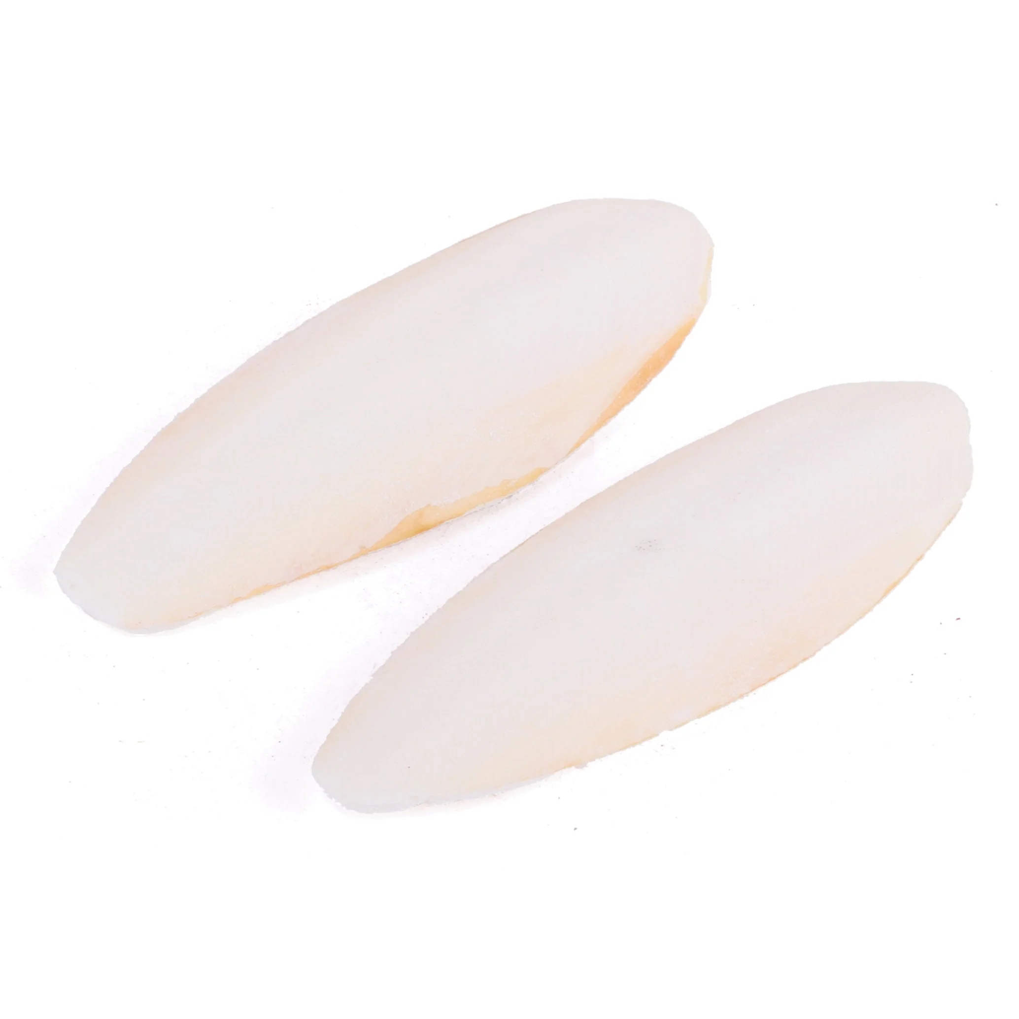 Kazoo Natural Cuttlebones Medium 2 Pack