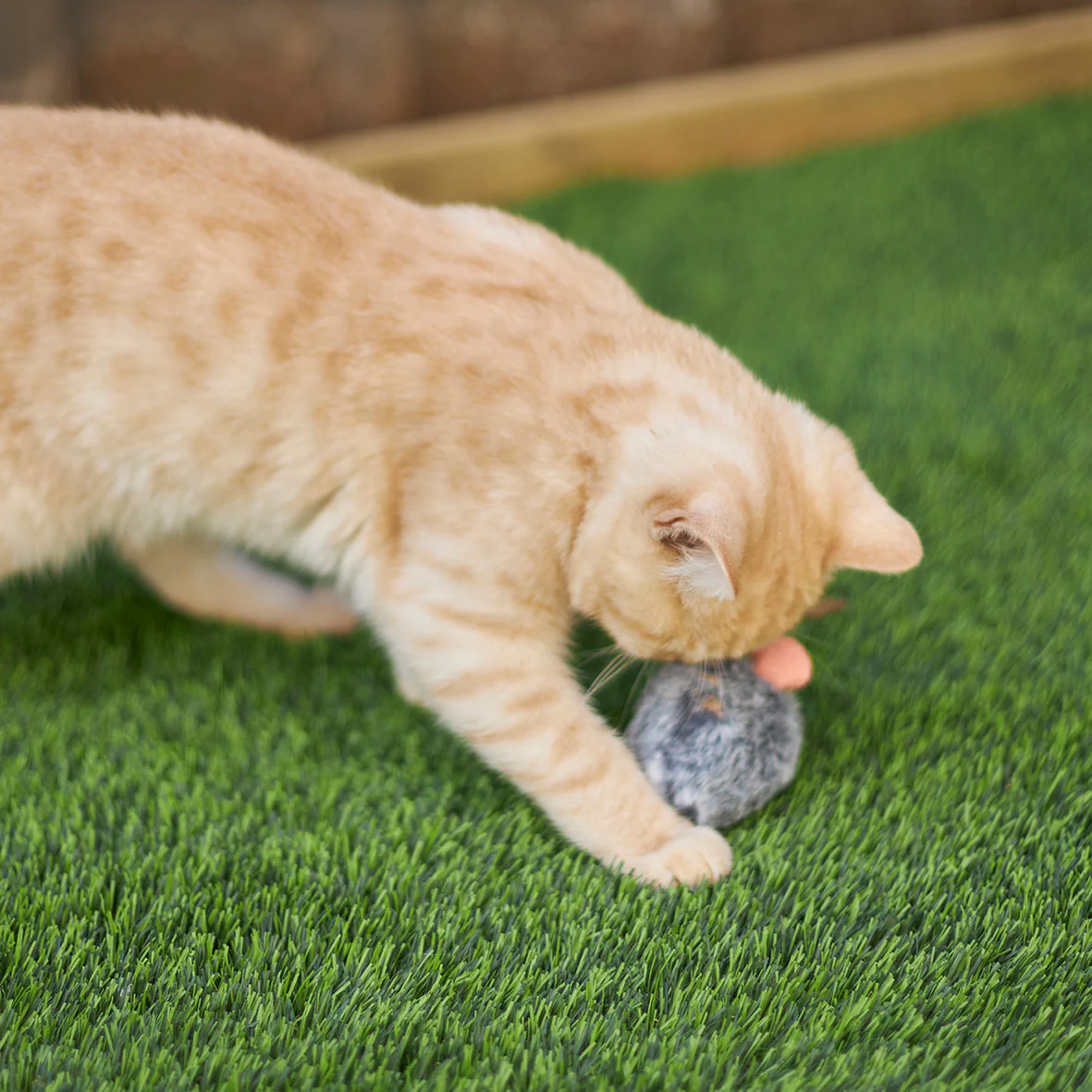 Kazoo Noisy Mouse Cat Toy - Image 4