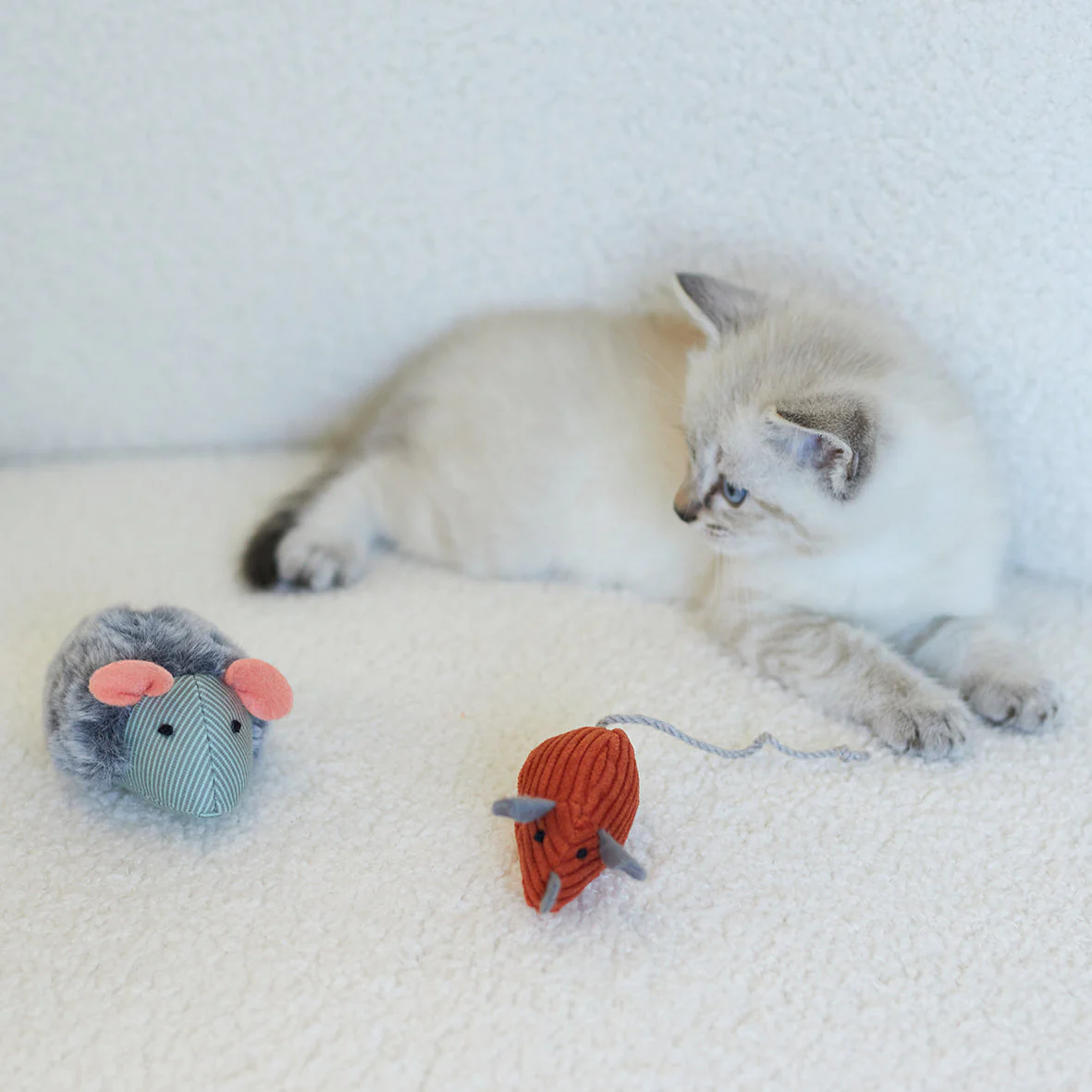 Kazoo Noisy Mouse Cat Toy - Image 6