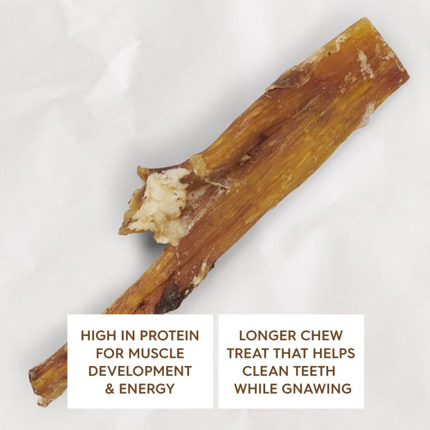 Kazoo Prime Cuts Beef Paddywack Dog Treat x20 - Image 4