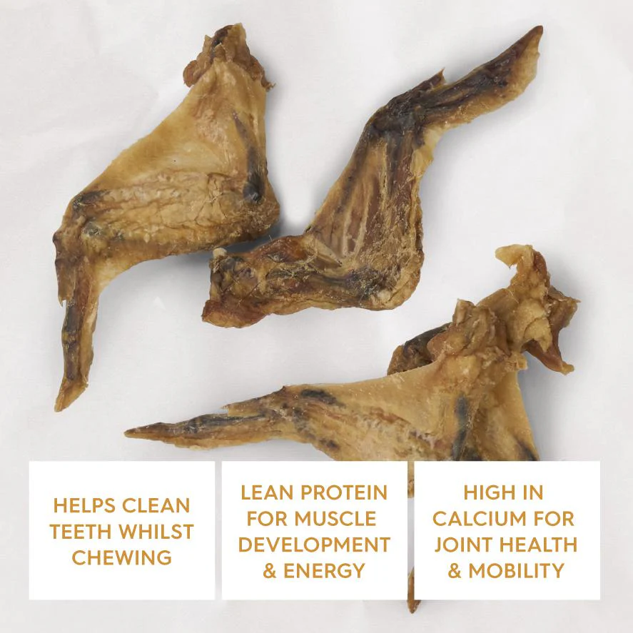 Kazoo Prime Cuts Chicken Wing Dog Treats 4 Pack - Image 3