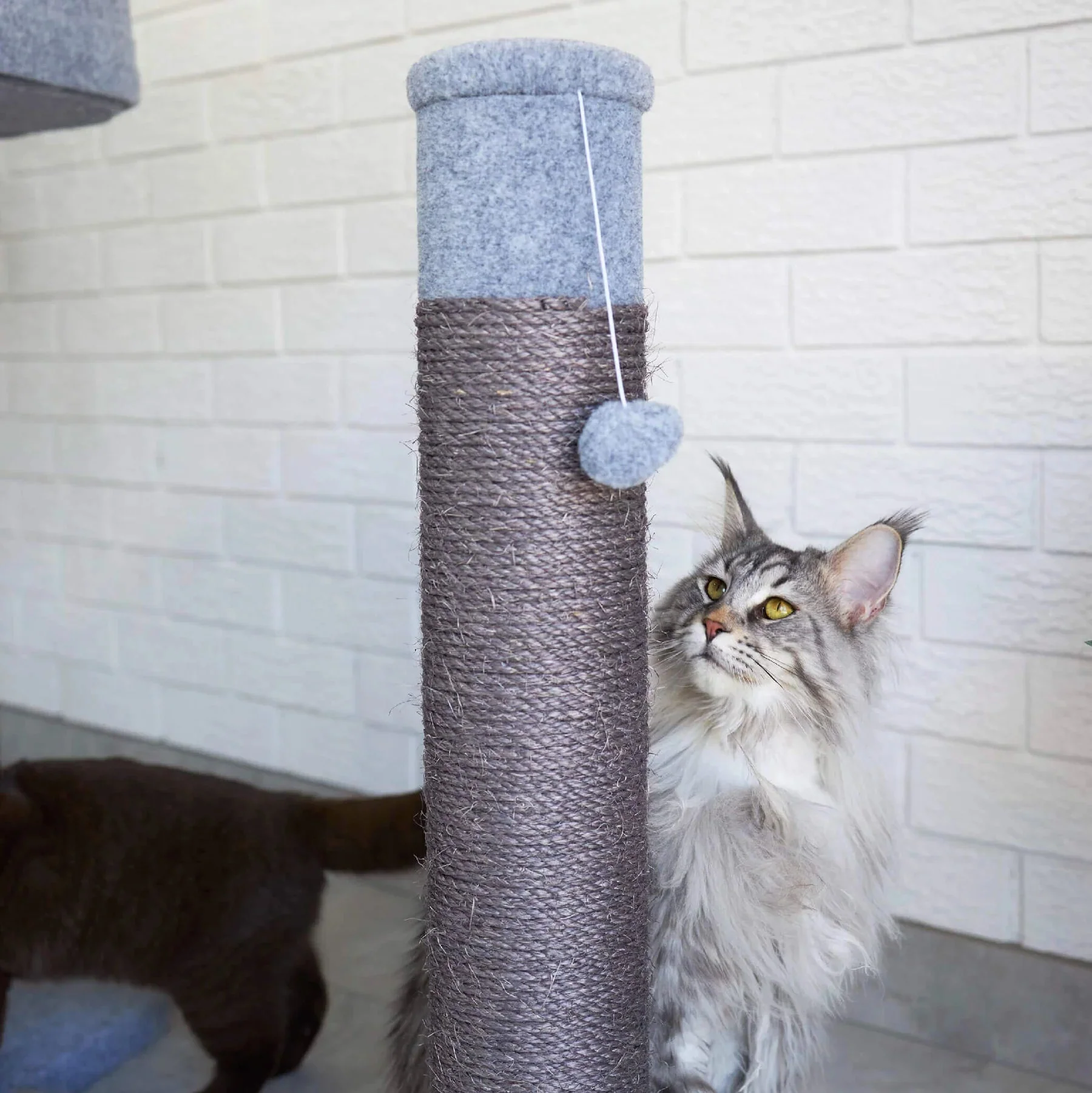 Kazoo Scratching Post Ash Plush Medium - Image 2
