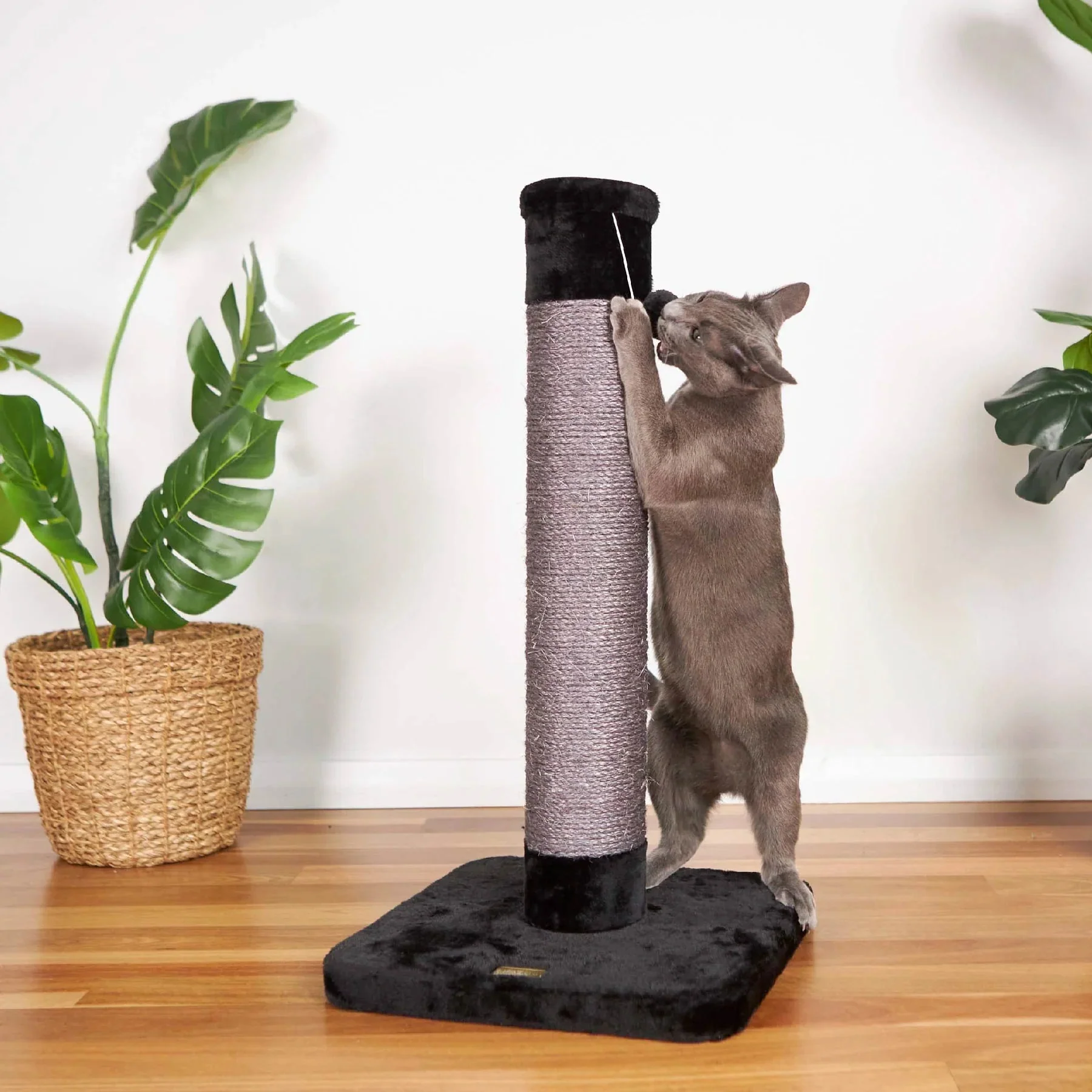Kazoo Scratching Post Ash Plush Medium - Image 3