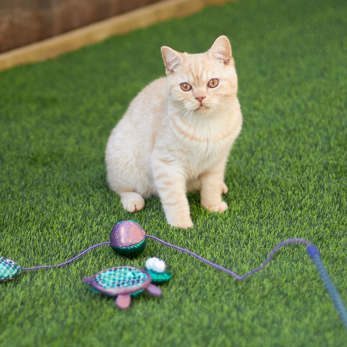 Kazoo Sea Turtle Cat Toy - Image 4