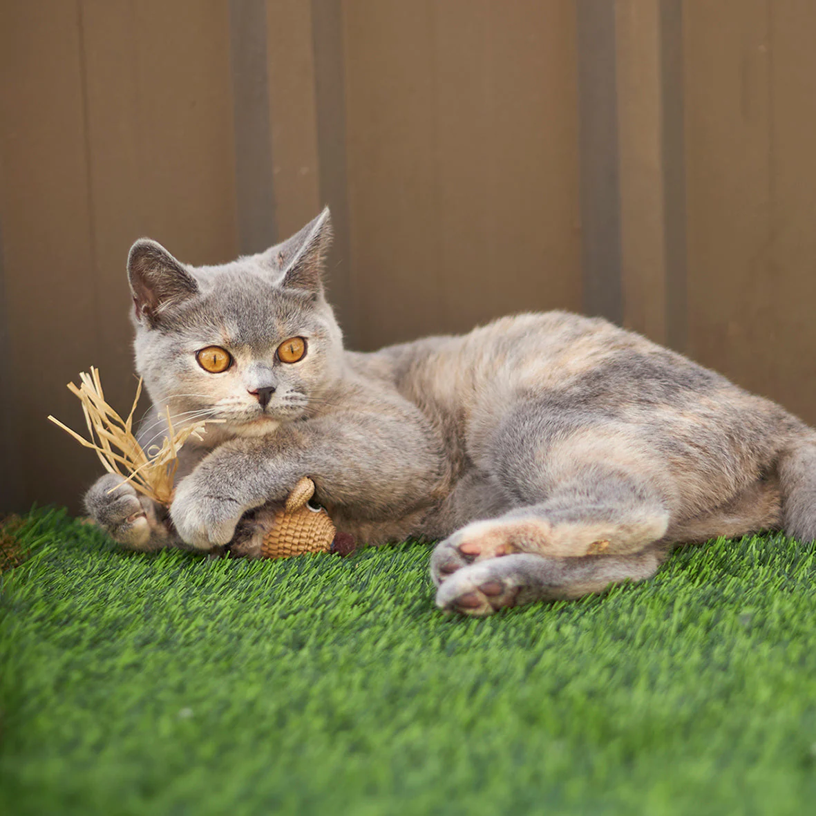 Kazoo Sneaky Mouse Cat Toy - Image 2