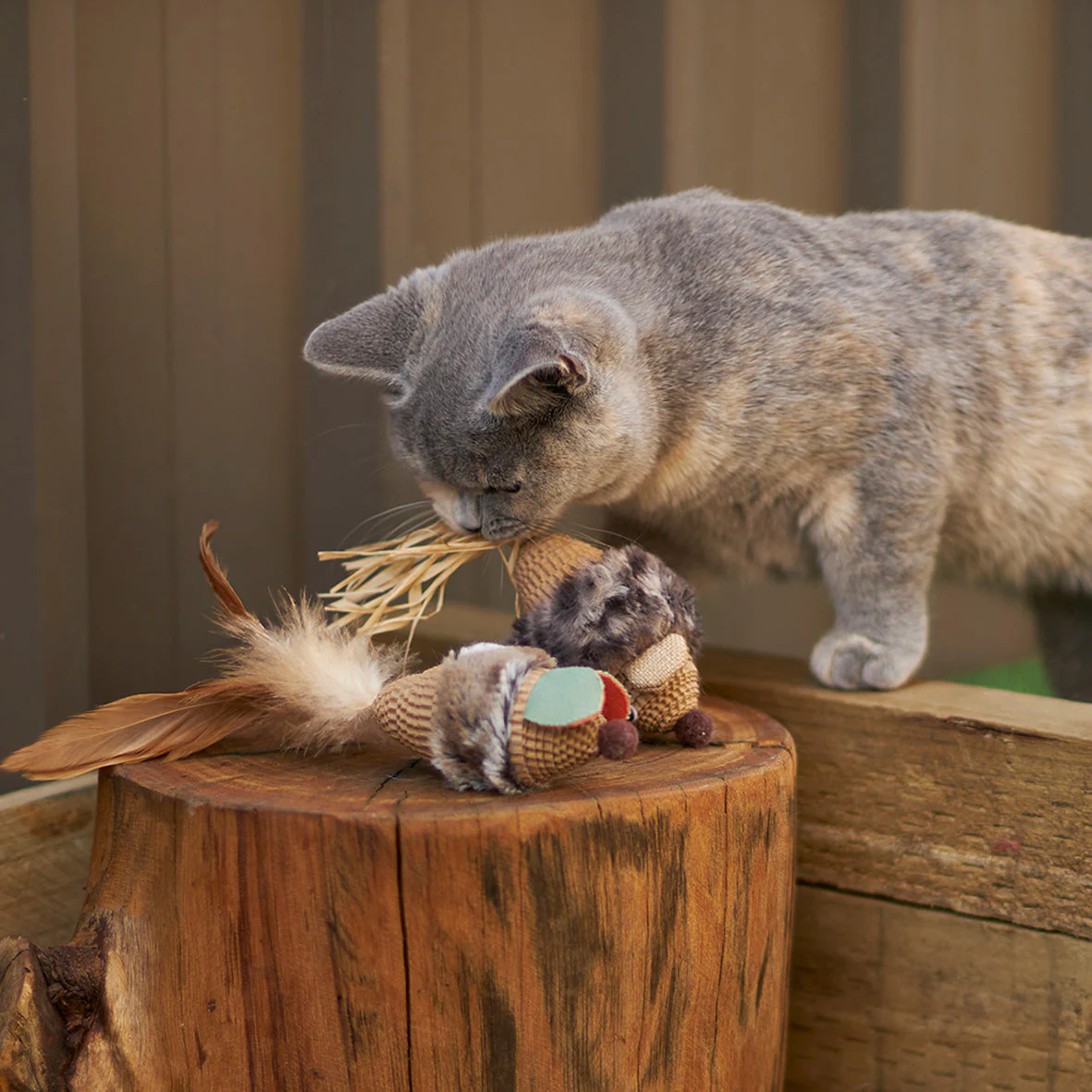 Kazoo Sneaky Mouse Cat Toy - Image 3
