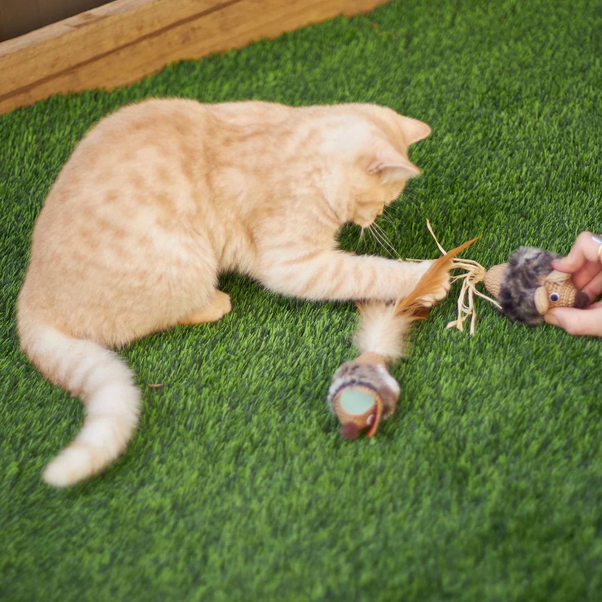 Kazoo Sneaky Mouse Cat Toy - Image 4