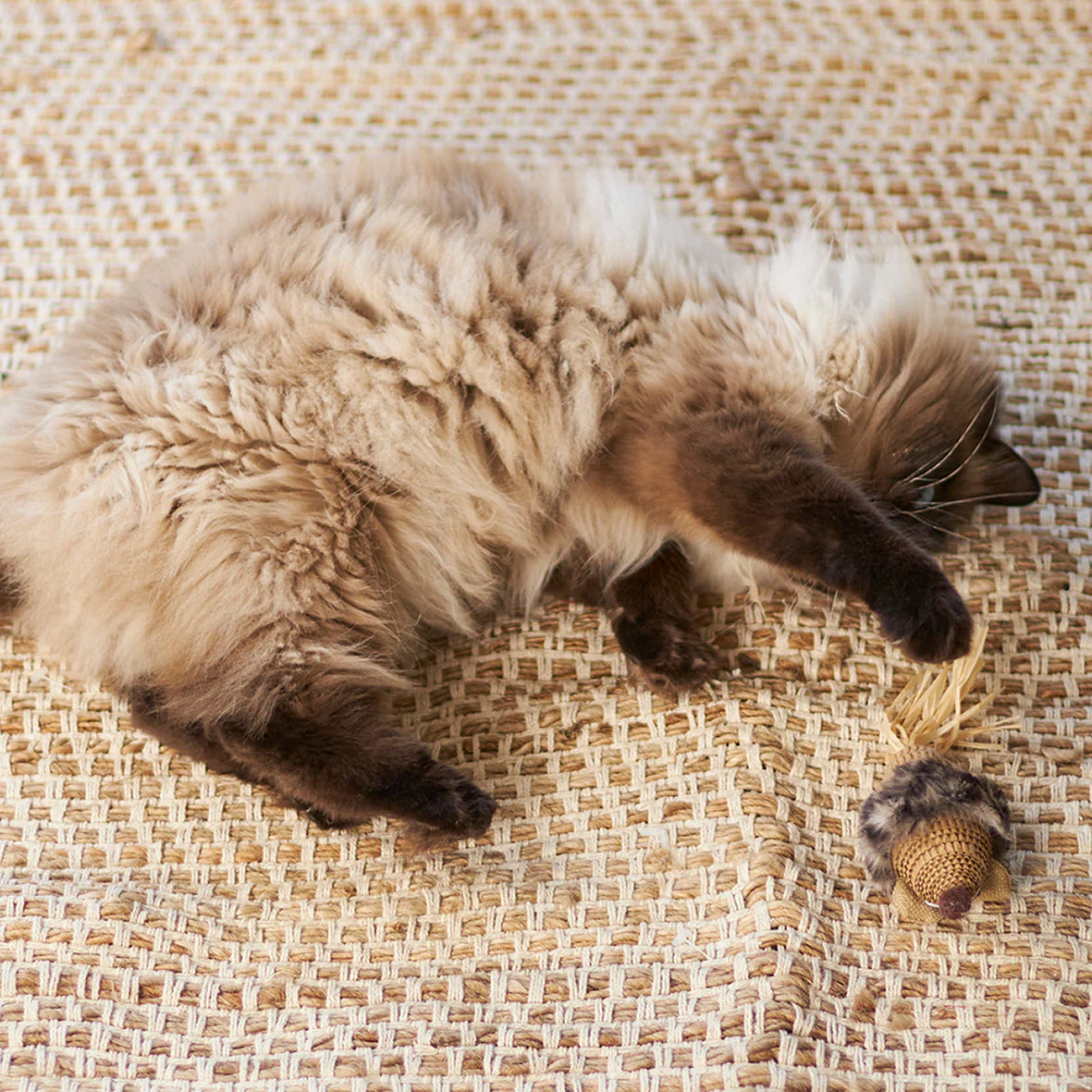 Kazoo Sneaky Mouse Cat Toy - Image 5