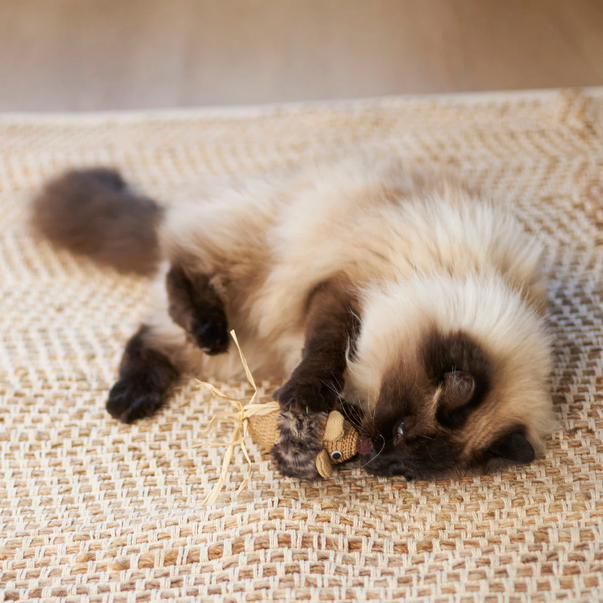 Kazoo Sneaky Mouse Cat Toy - Image 6