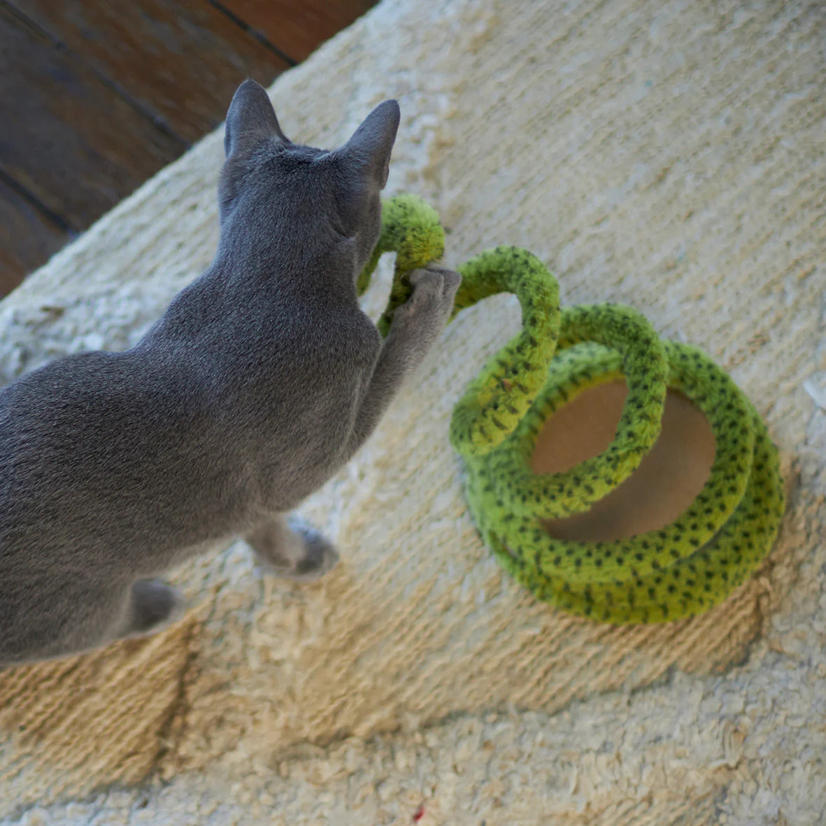 Kazoo Springy Snake Cat Toy - Image 5