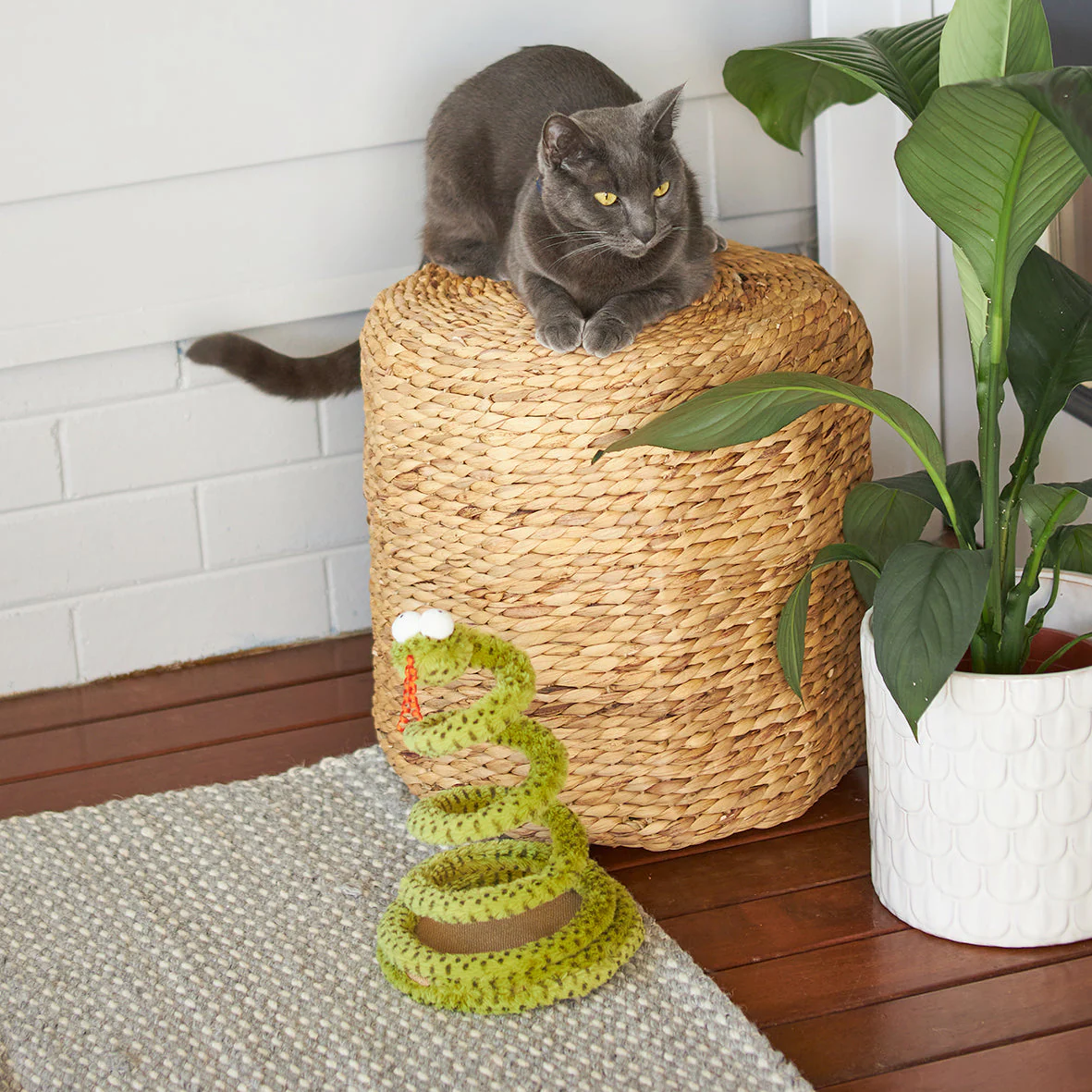 Kazoo Springy Snake Cat Toy - Image 8