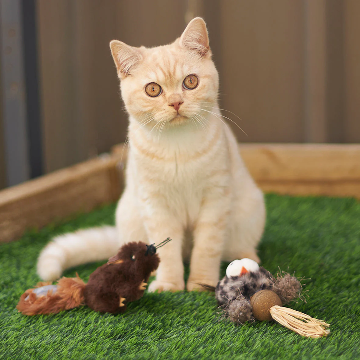 Kazoo Squishy Squirrel Cat Toy - Image 5