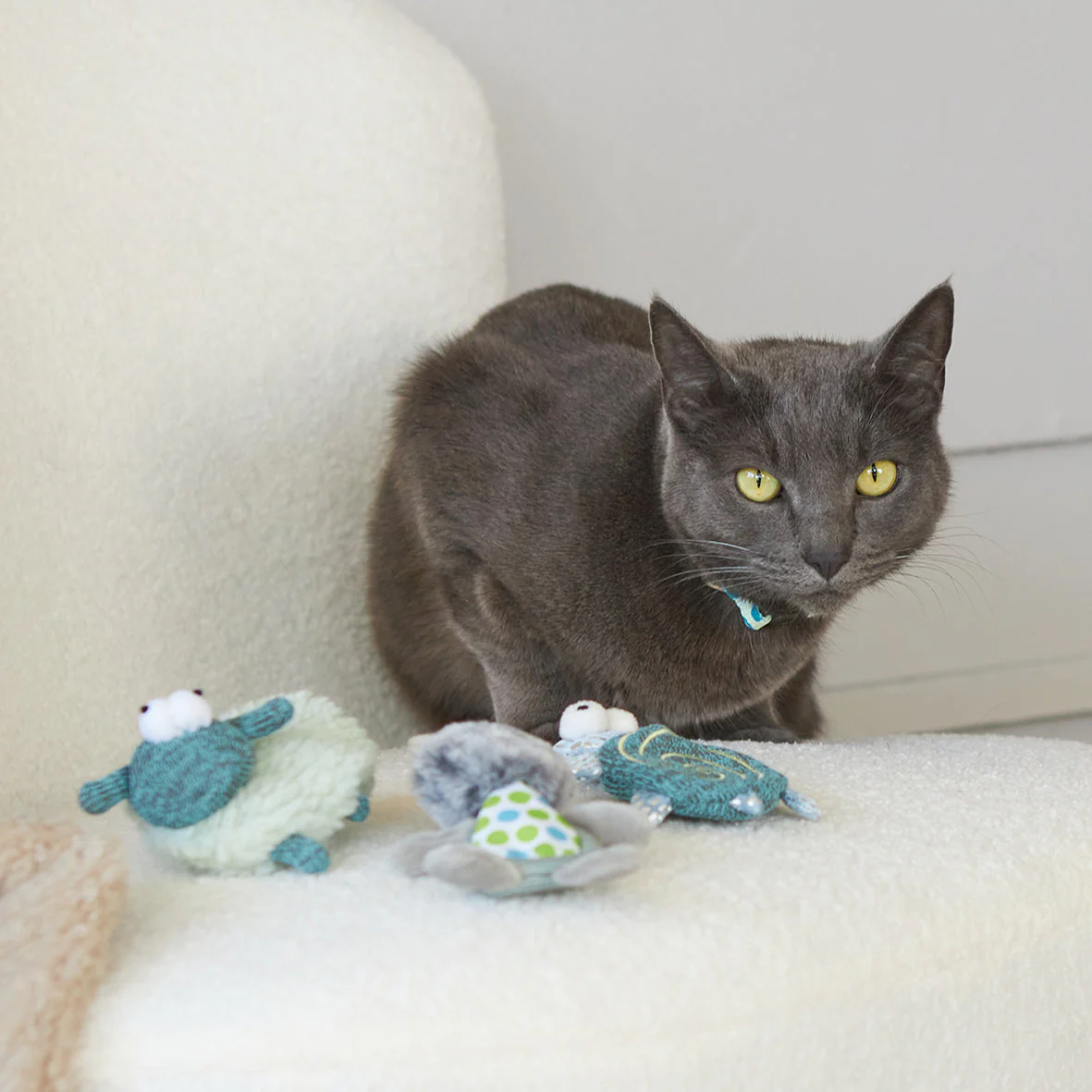 Kazoo Topsy Turtle Cat Toy - Image 4