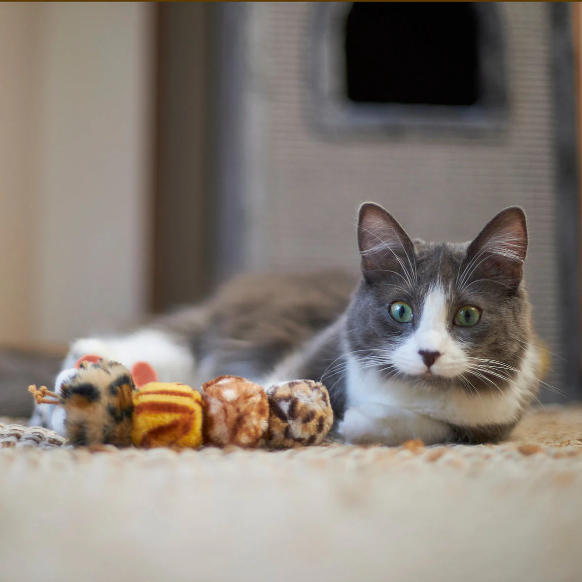 Kazoo Velcro Worm Cat Toy - Image 3