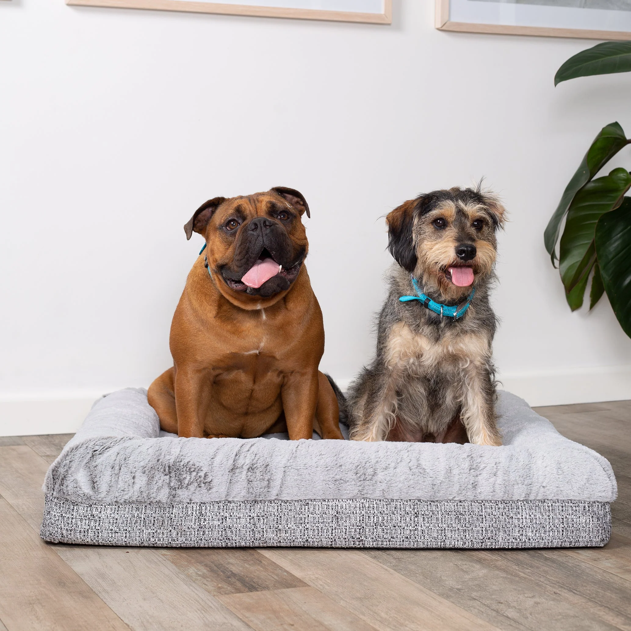 Kazoo Wombat Large Plush Grey Dog Bed - Image 3