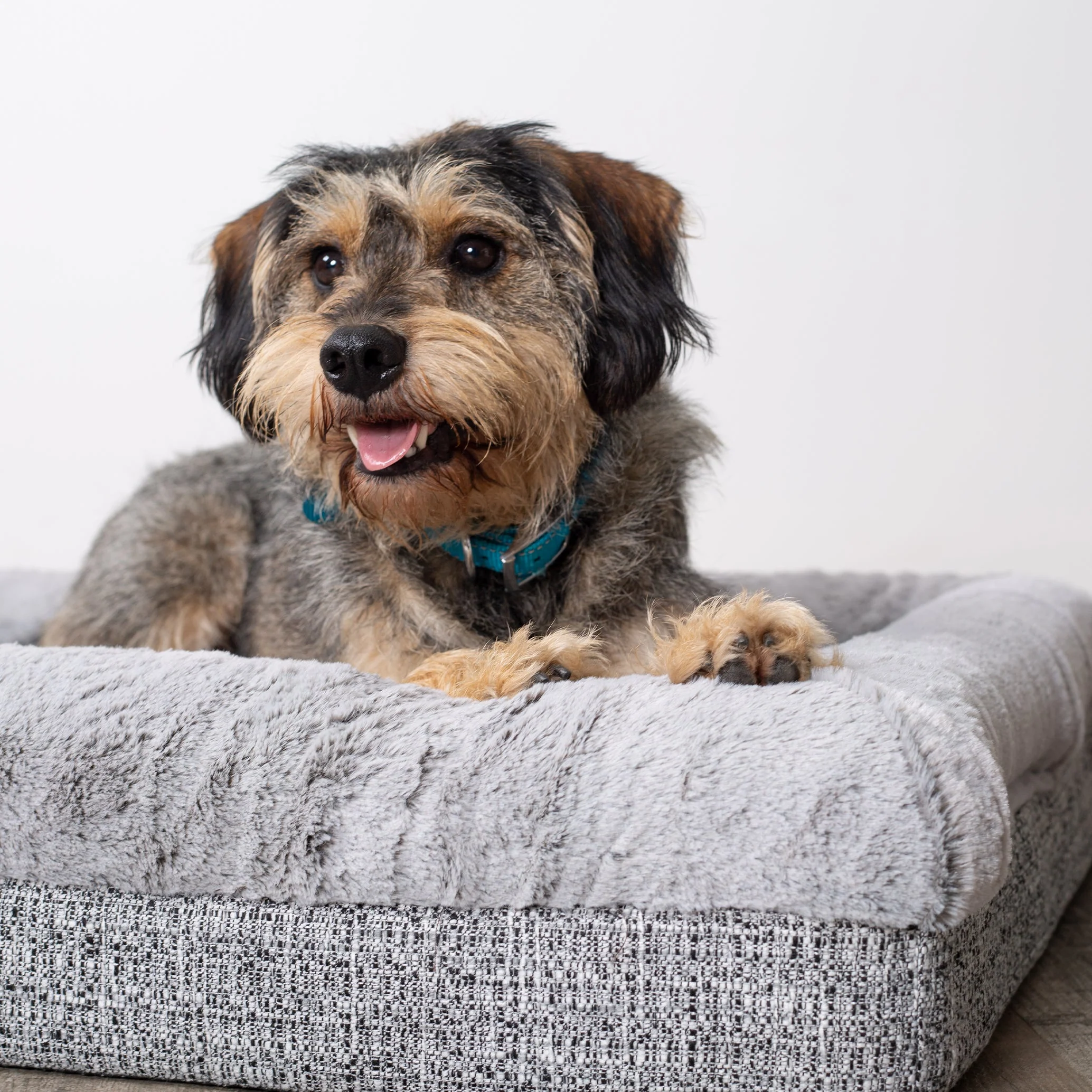 Kazoo Wombat Medium Plush Grey Dog Bed - Image 2