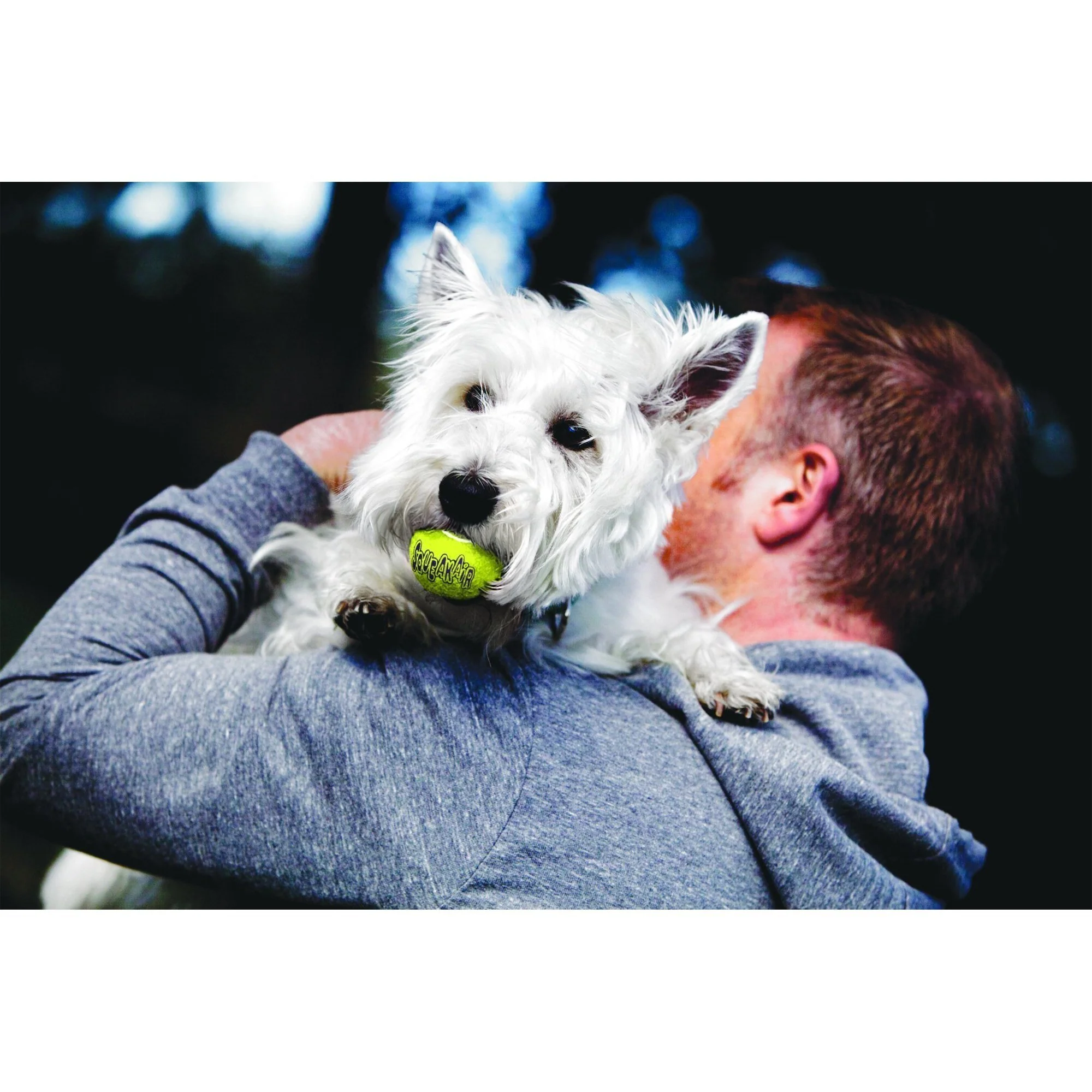KONG Airdog Squeaker Balls Extra Small Dog Toy 3 Pack - Image 2