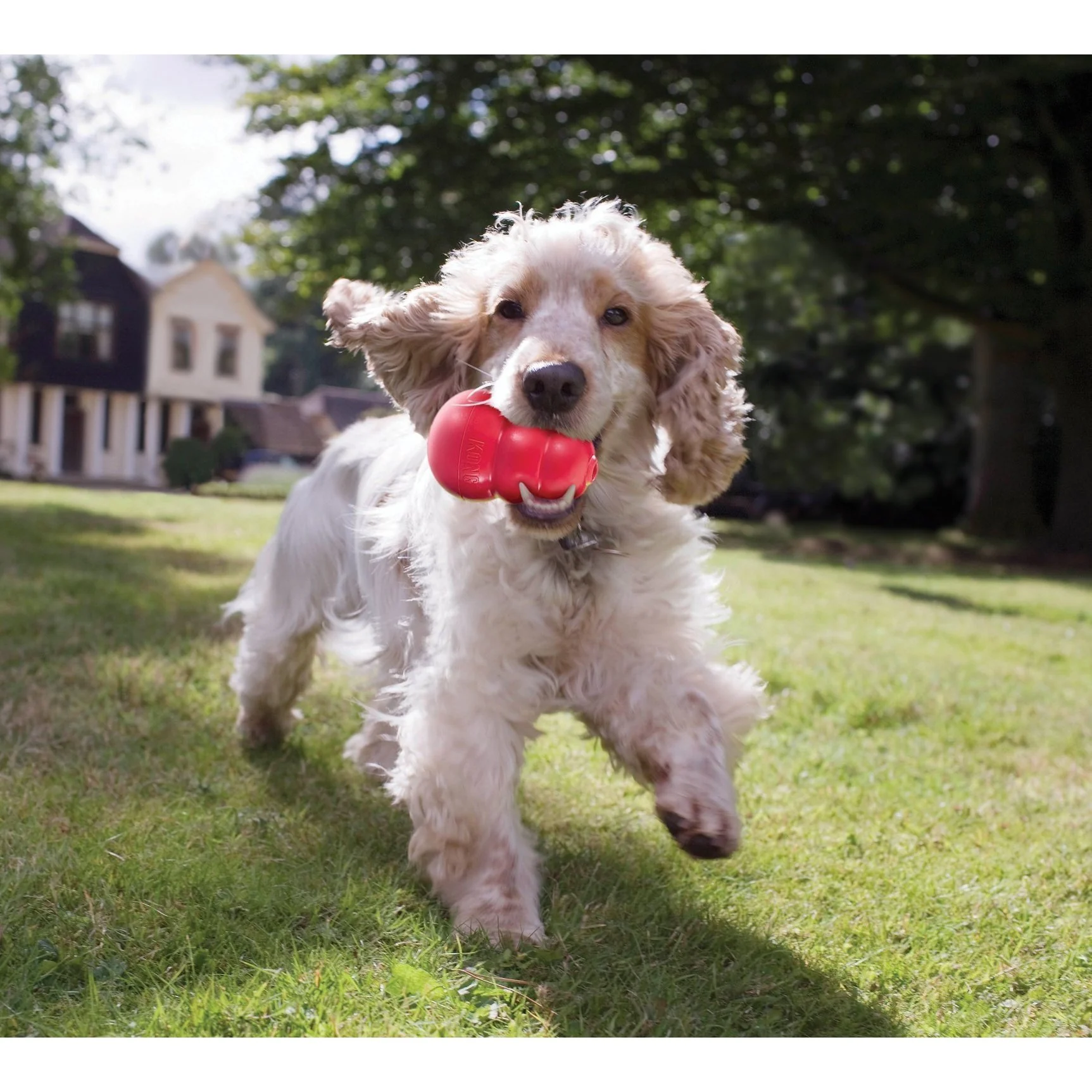 KONG Classic Medium Dog Toy - Image 3