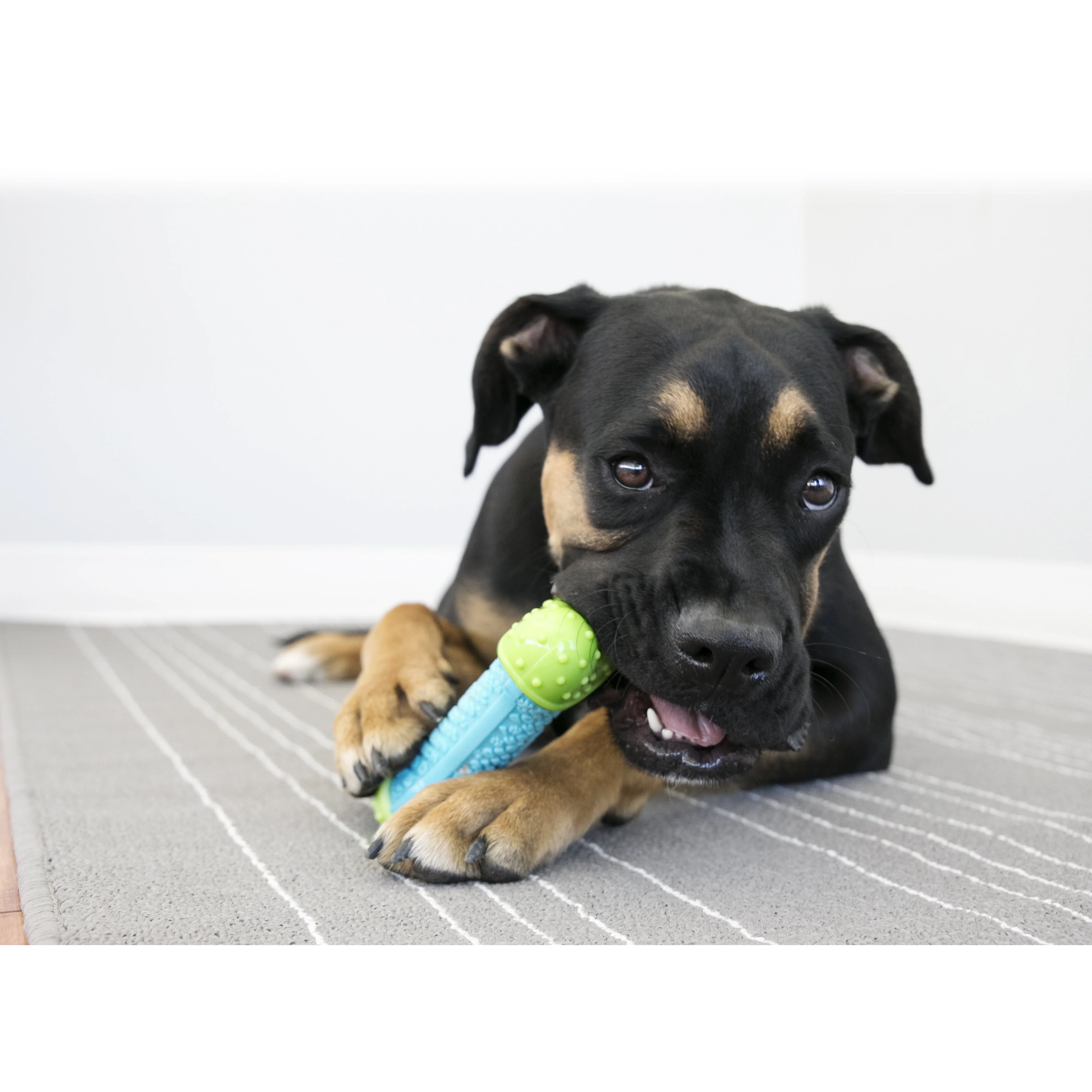 KONG Corestrength Bone Small/Medium Dog Toy - Image 3
