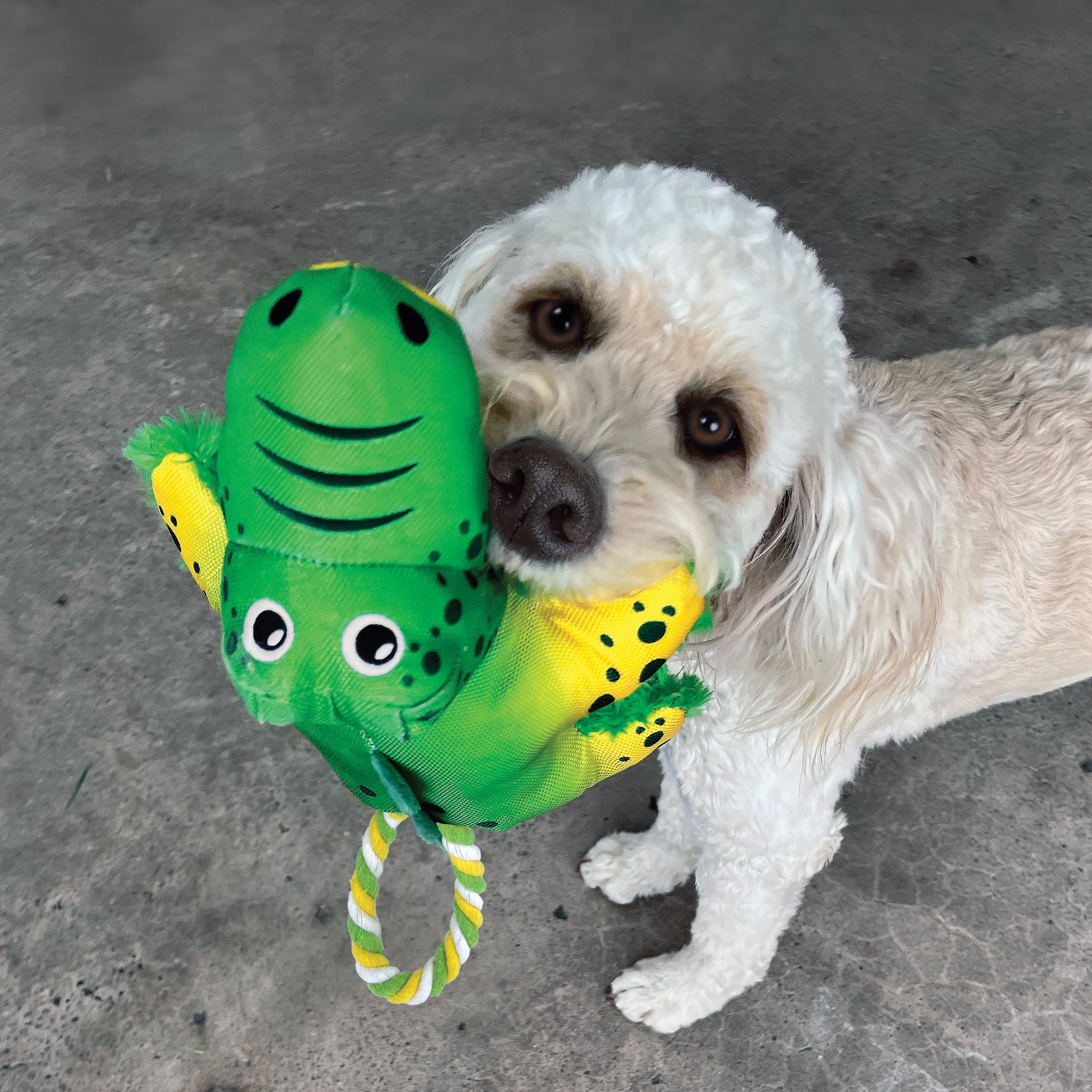 KONG Cozie Tuggz Alligator Small to Medium Dog Toy - Image 3