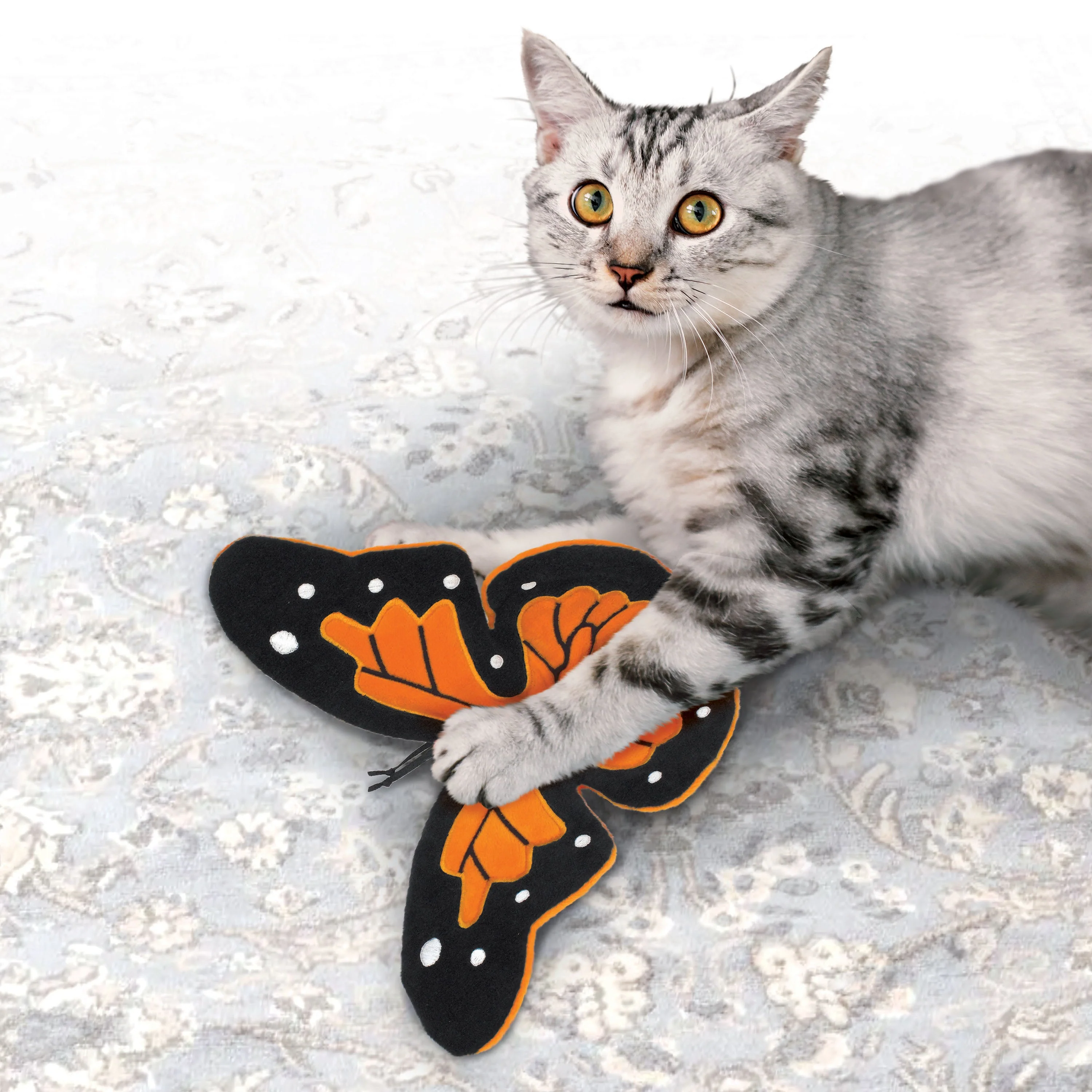 KONG Crackles Flutterz Butterfly Cat Toy - Image 2