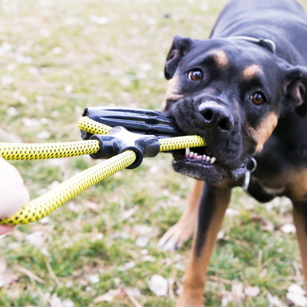 KONG Jaxx Infinity Tug Dog Toy Large - Image 3