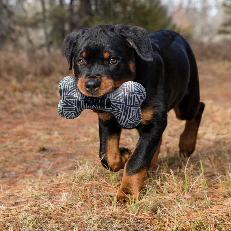 KONG Maxx Bone Small to Medium Dog Toy - Image 3