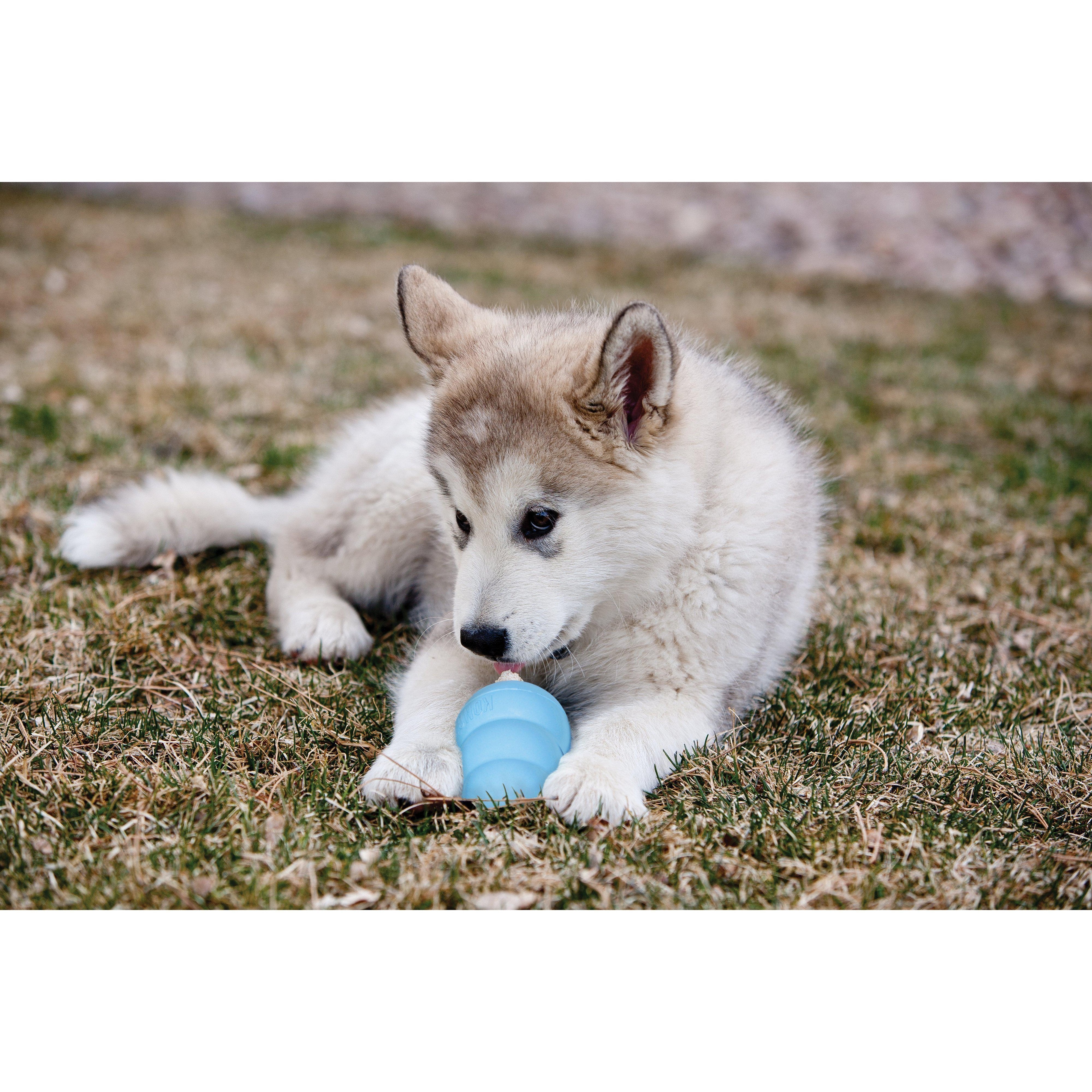 KONG Puppy Medium Dog Toy - Image 4