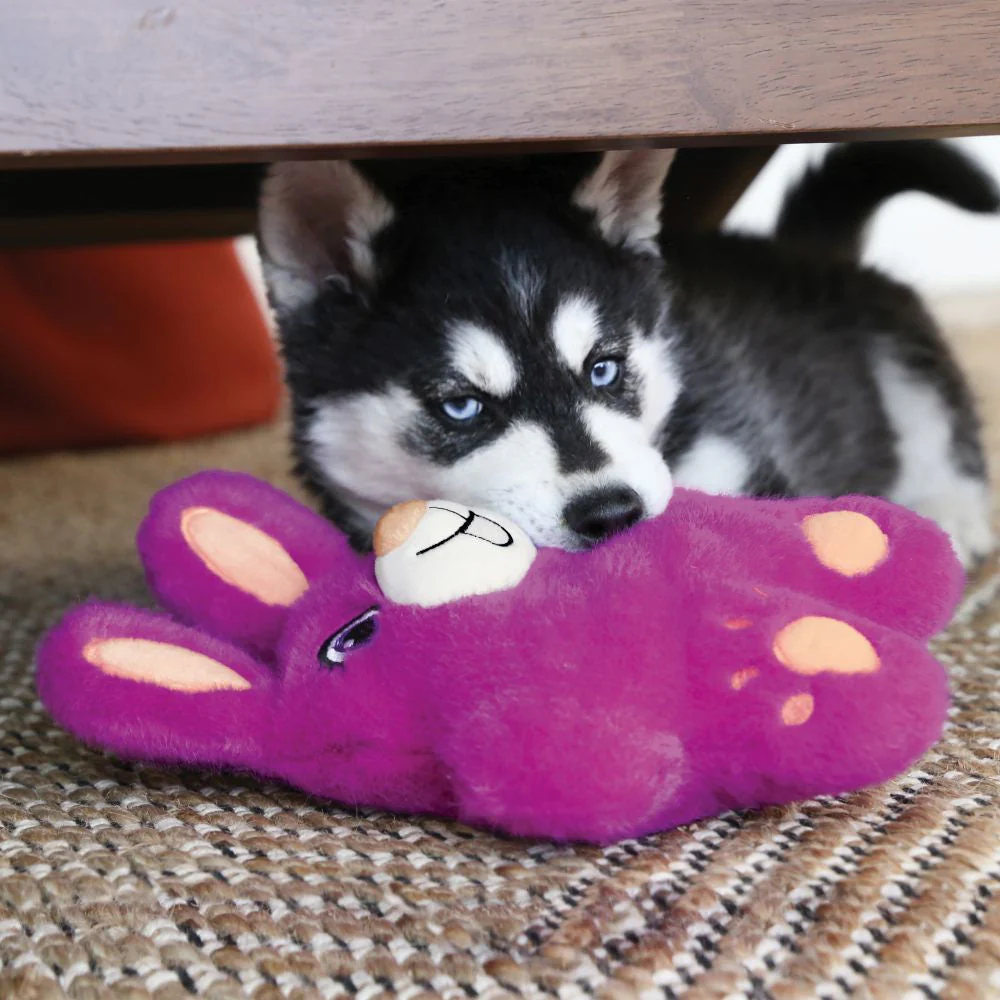 KONG Snuzzles Koala Dog Toy - Image 3