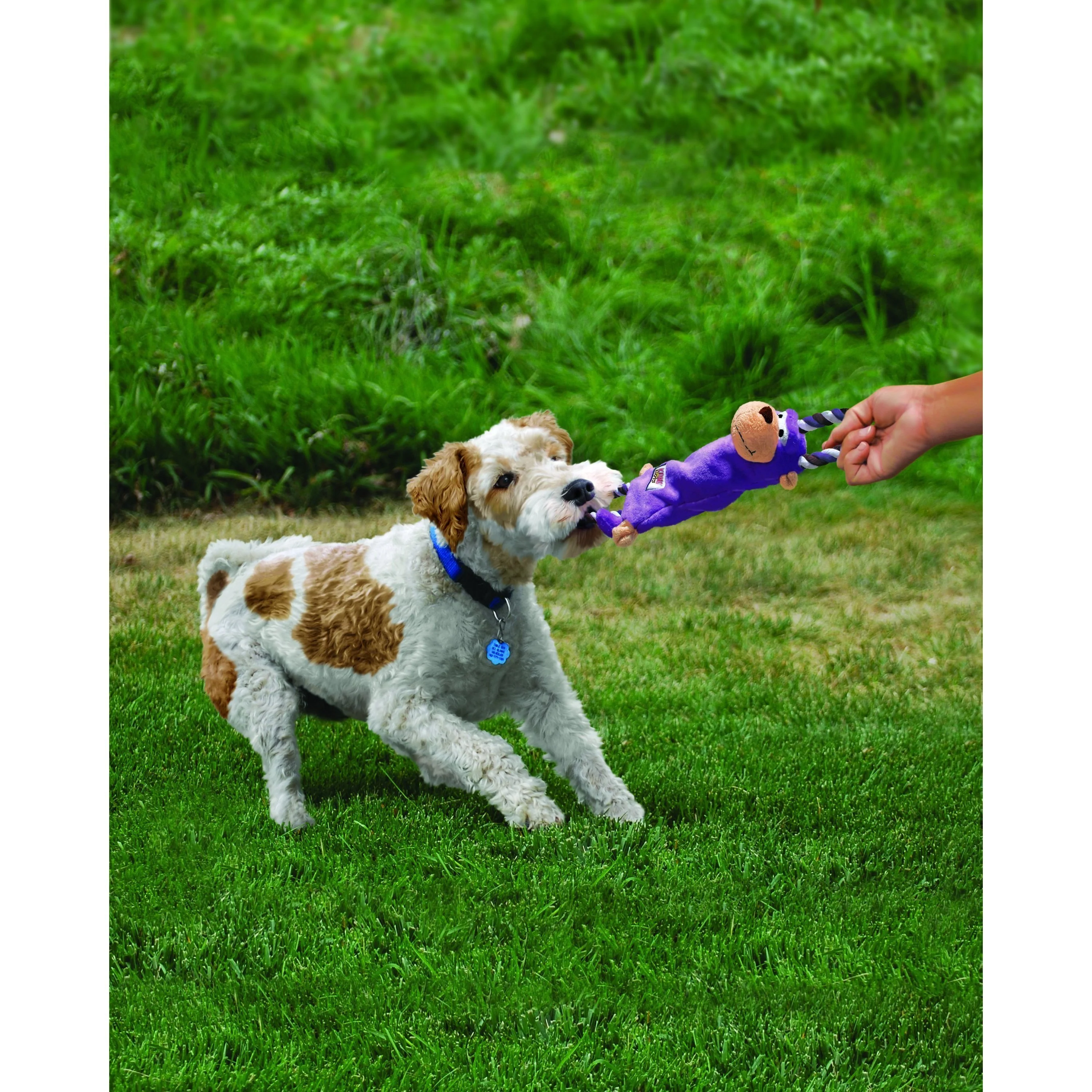 KONG Tugger Knots Monkey Medium/Large Dog Toy - Image 3